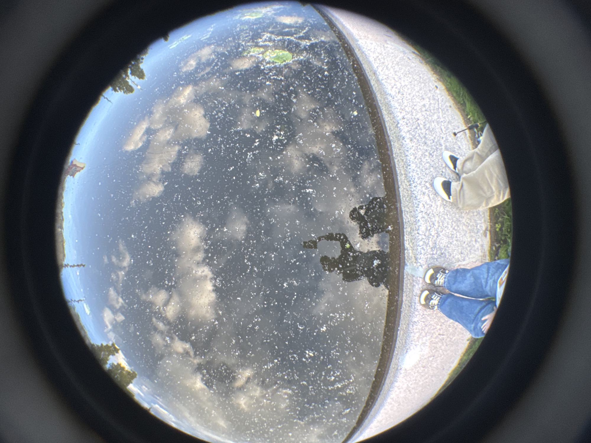 The image, captured with a fisheye lens, depicts a circular reflection of a cloudy sky and surrounding trees on a body of water. The water's surface is speckled with numerous small, white particles, possibly debris or surface tension phenomena. In the foreground, a paved walkway curves around the water, with glimpses of green grass and what appears to be a tree line. Two individuals are partially visible on the walkway. One person is wearing light-colored pants and white sneakers with black accents. Another individual is wearing blue jeans and sneakers with yellow and black detailing. Their legs and feet are visible, suggesting they are standing or sitting by the water's edge. The reflection of the sky indicates it is daytime, with a mix of bright clouds and darker areas, suggesting variable weather. The context provided places the scene in Saint Petersburg, Russia. The overall mood is serene and observational, focusing on the interplay of light, water, and reflection, with the presence of people adding a human element to the natural scene.