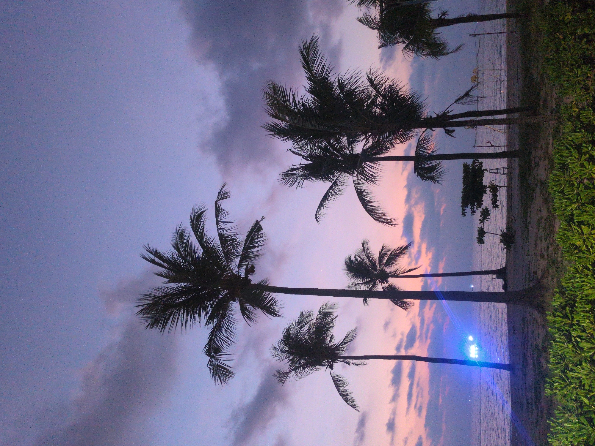 The image depicts a coastal scene at Phú Quốc, Vietnam, taken during twilight. Silhouetted palm trees stand between the observer and the shoreline. The sky is a mix of purples and pinks due to the setting sun or rising dawn, with clouds adding texture. The foreground on the right shows some greenery. In the distance, faint lights are visible across the water. A ladder lies close to a tree on the beach. A bright light is cast across the water near the shore.