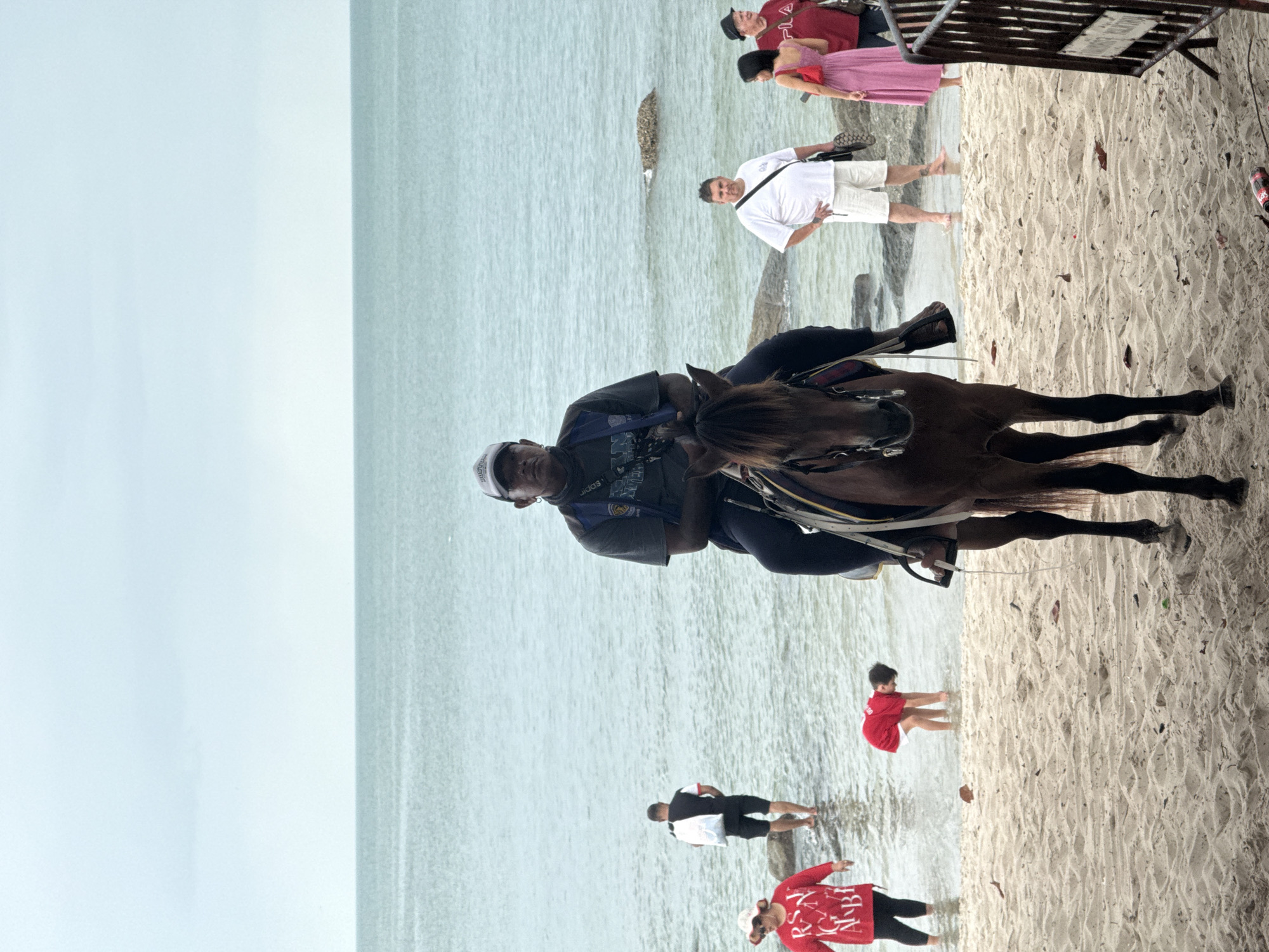 This is a photograph of a beach scene in Hua Hin, Thailand, with the ocean in the background and a sandy shore in the foreground. A man is riding a brown horse in the center of the frame, facing the viewer. He is wearing a grey cap, a dark t-shirt, and dark pants. The horse is saddled and appears to be trained.
In the background, several people are visible near the water's edge. To the left of the horse rider, a person wearing a red shirt and black pants stands on the sand. Further back, a person in a black and white shirt is wading in the shallow water, carrying a white bag. A child in a red shirt is bent over, playing in the water.
On the right side of the frame, two men and two women are standing on the shore. One man is wearing a white t-shirt and white shorts. A woman in a pink dress is also present, along with another person in a red shirt and a person in a black hat. The ocean is calm, with a faint horizon line. Some rocks are visible in the water. A dark metal fence is present on the far right side of the image, partially obscuring the scene. Fallen leaves are scattered on the sand.