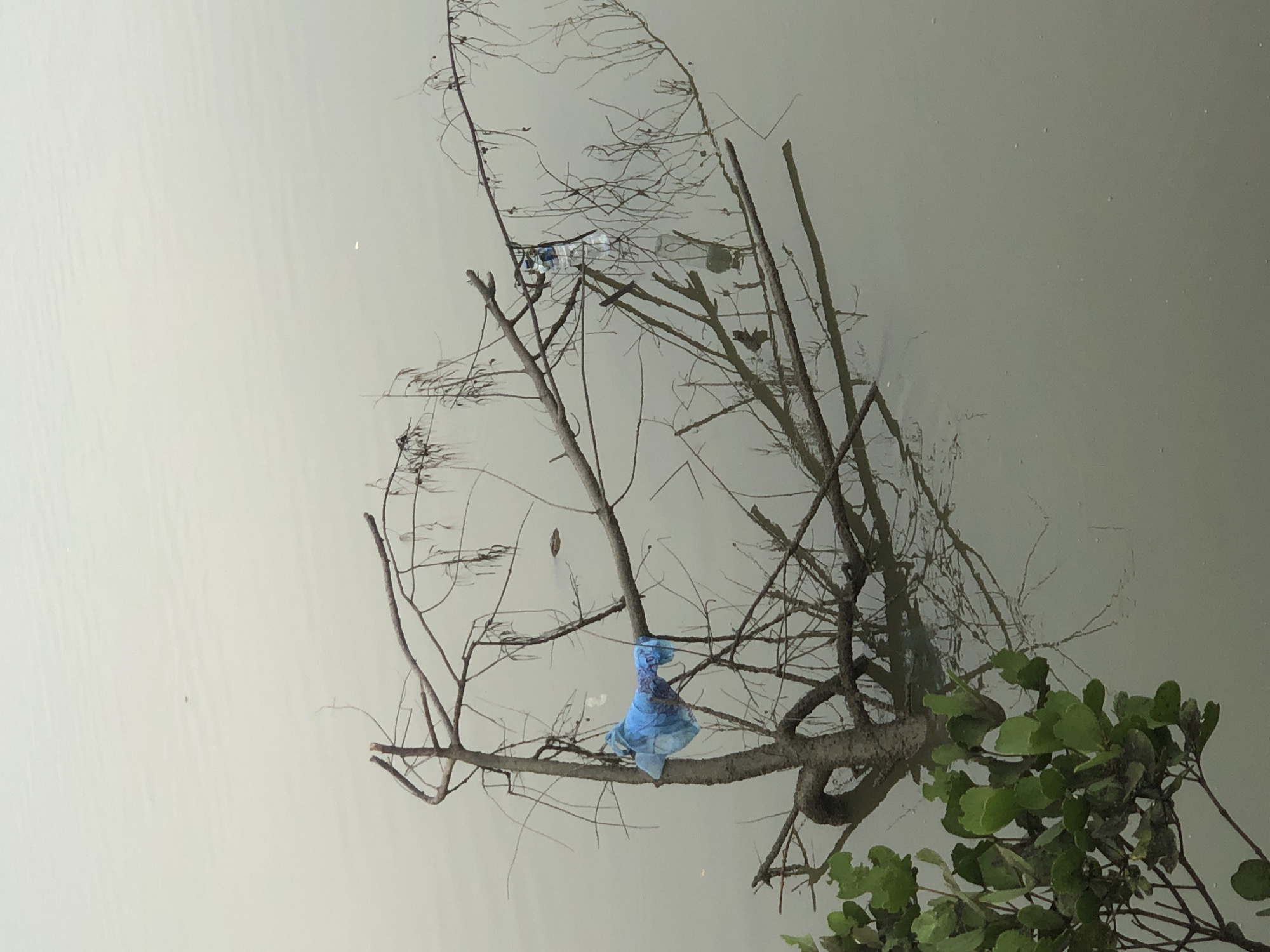 A close-up, waist-level shot captures a submerged tree branch protruding from murky water, likely a canal or slow-moving river, in Lhokseumawe, Indonesia. Green foliage is visible at the bottom left of the frame, with the majority of the image dedicated to the water's surface and the skeletal branches of the tree. The water is a dull, gray-green color, reflecting the overcast sky, and shows ripples and small bubbles. A bright blue plastic bag is snagged on the branches of the tree, and further to the right, a partially submerged plastic bottle is also caught on the branches. The overall impression is one of pollution and neglect in an urban waterway.