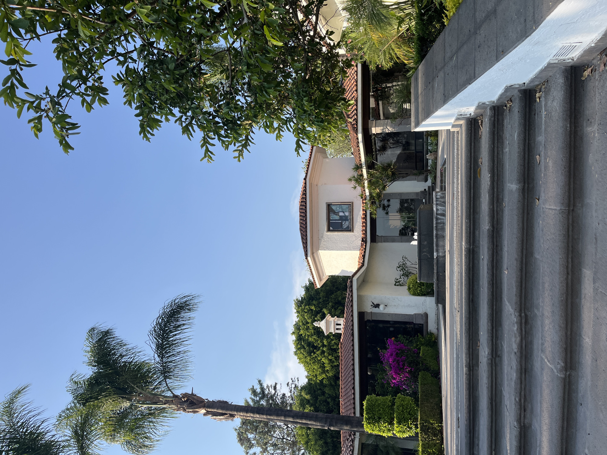 This image shows an exterior view of a building with a combination of architectural styles, set against a clear blue sky. The building has a white facade, terracotta tile roofing, and features modern glass windows. A series of gray concrete steps leads towards the building. Lush landscaping surrounds the property, including palm trees, manicured hedges, and flowering plants. The foliage of larger trees is visible overhead. The location is San Bernardino Tlaxcalancingo, Mexico. There is no evidence of people in the shot.
