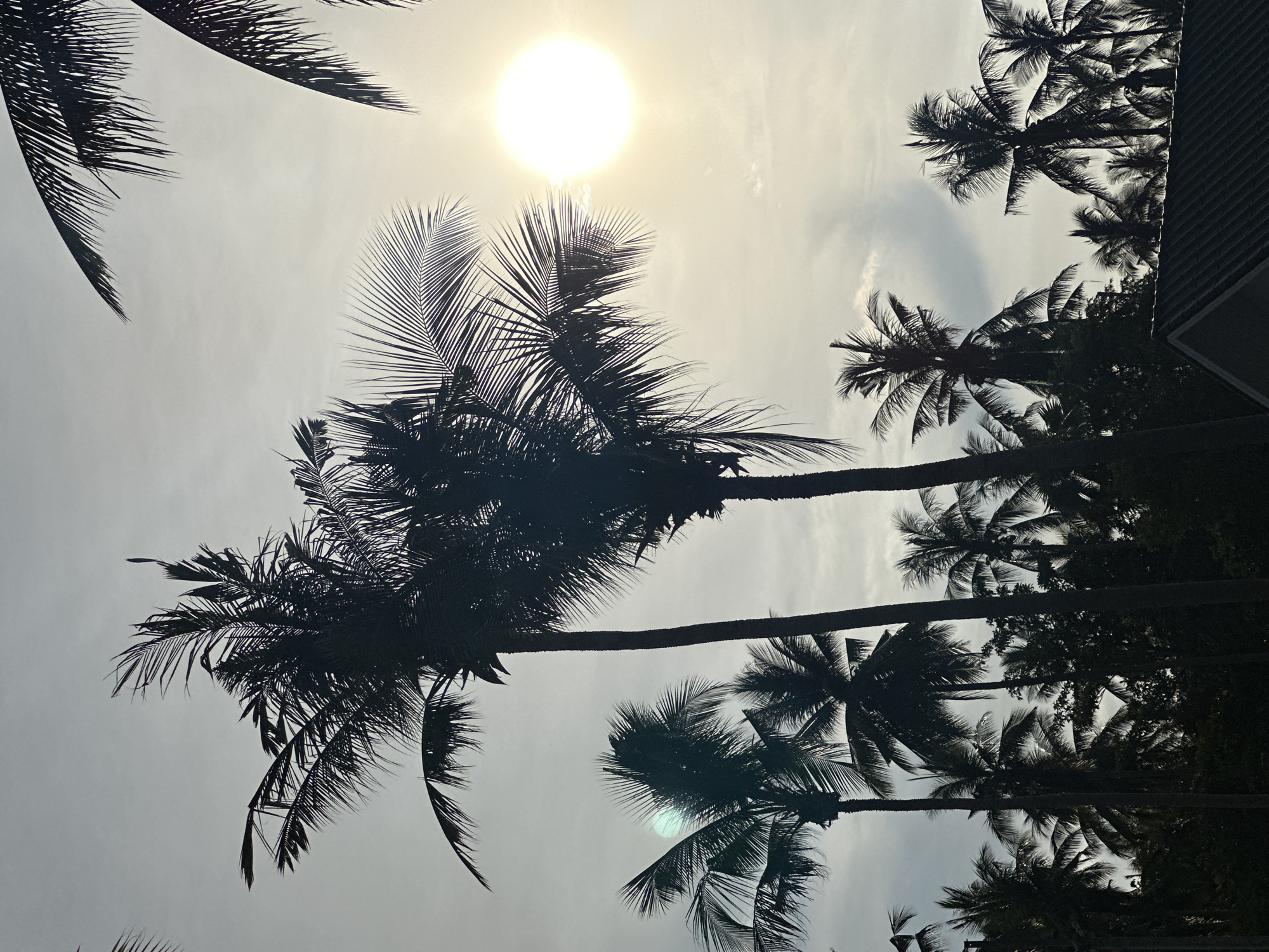The image captures a silhouetted scene of numerous palm trees against a bright, hazy sky with the sun prominently visible on the right side of the frame. The sun appears as a blown-out white circle, radiating light that washes out the background. Several palm trees, with their characteristic fronds, are spread across the composition, with some closer to the foreground and others further back, creating a layered effect. The trees are dark, appearing as silhouettes against the lighter sky. In the lower right corner, the edge of a dark, sloped roof, possibly of a building, is visible. The scene is likely a tropical location, consistent with the presence of palm trees and the hazy atmospheric conditions, suggestive of a humid climate. The location is identified as Koh Phangan Subdistrict, Thailand. No people or specific actions are depicted.