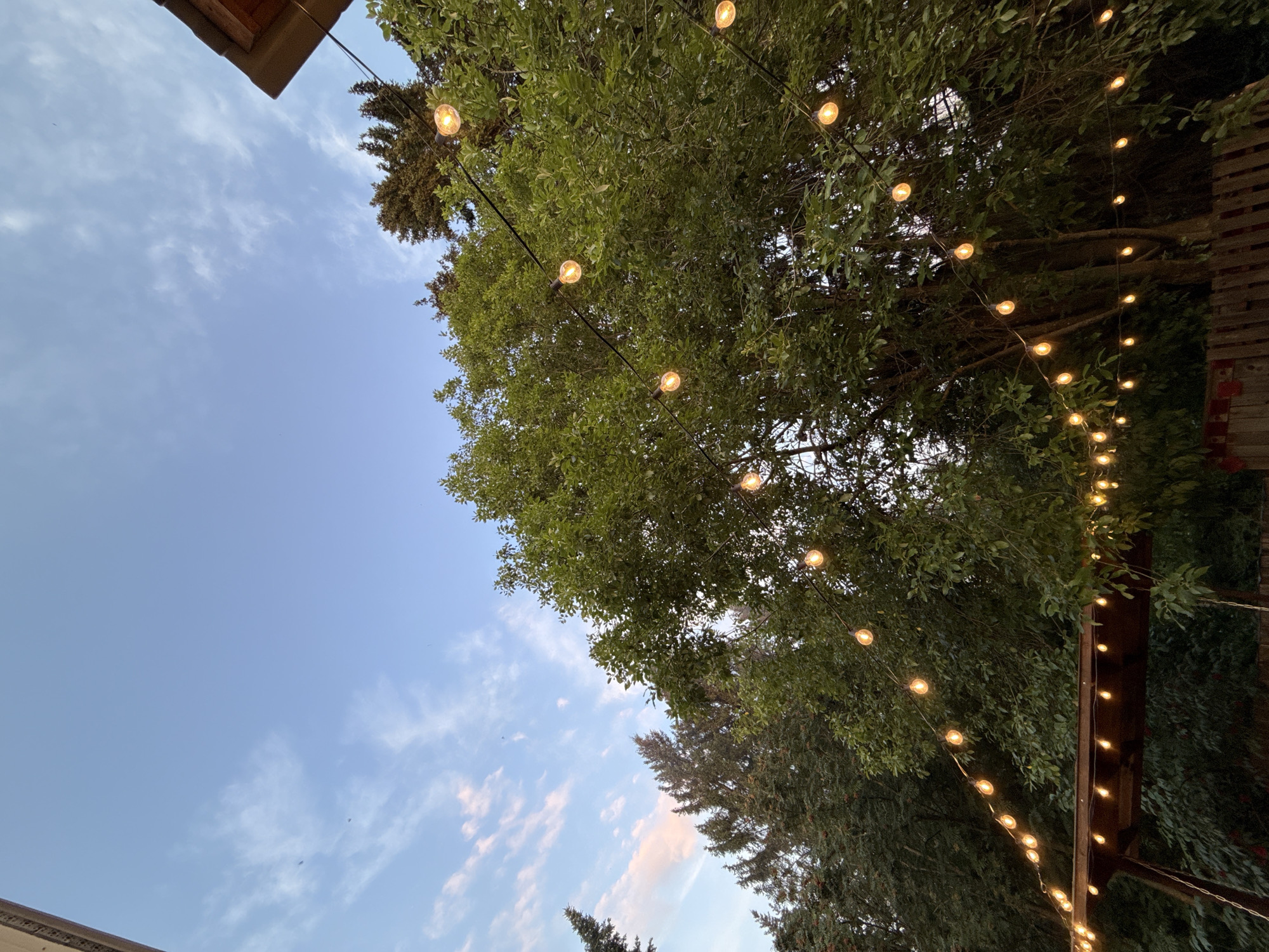 An exterior, low-angle shot captures a string of globe lights strung across lush green trees, likely in Sharkan, Russia. The sky is a soft blue with wisps of pink clouds, suggesting dusk or dawn. A roofed structure is visible in the lower portion of the frame, with more lights adorning its underside. The focus is on the natural elements, the artificial lighting, and the sky. There are no people or animals in the frame.