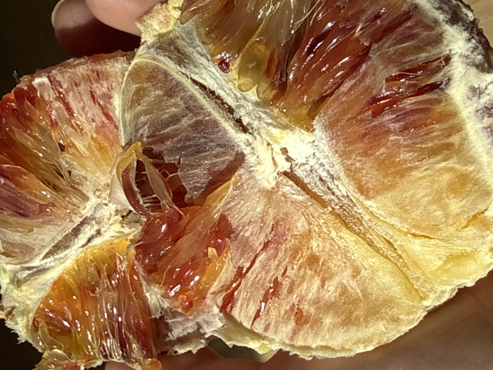 A close-up, high-resolution image captures the vibrant interior of a blood orange, held by two fingers visible in the upper left. The fruit has been torn or peeled open, revealing its distinctive segments. These segments display a striking color palette, transitioning from deep crimson reds to bright oranges and yellows, with some parts appearing glossy and translucent due to their juiciness. The white, fibrous pith and membranes of the fruit are prominent, separating the colorful sections and providing textural contrast. The background is dark and out of focus, directing full attention to the fruit's intricate details and rich hues. The activity depicted is the handling and exposing of the fruit's interior, possibly in preparation for eating. There are no discernible time of day, weather conditions, specific location cues beyond the object itself, or visible text within the frame.