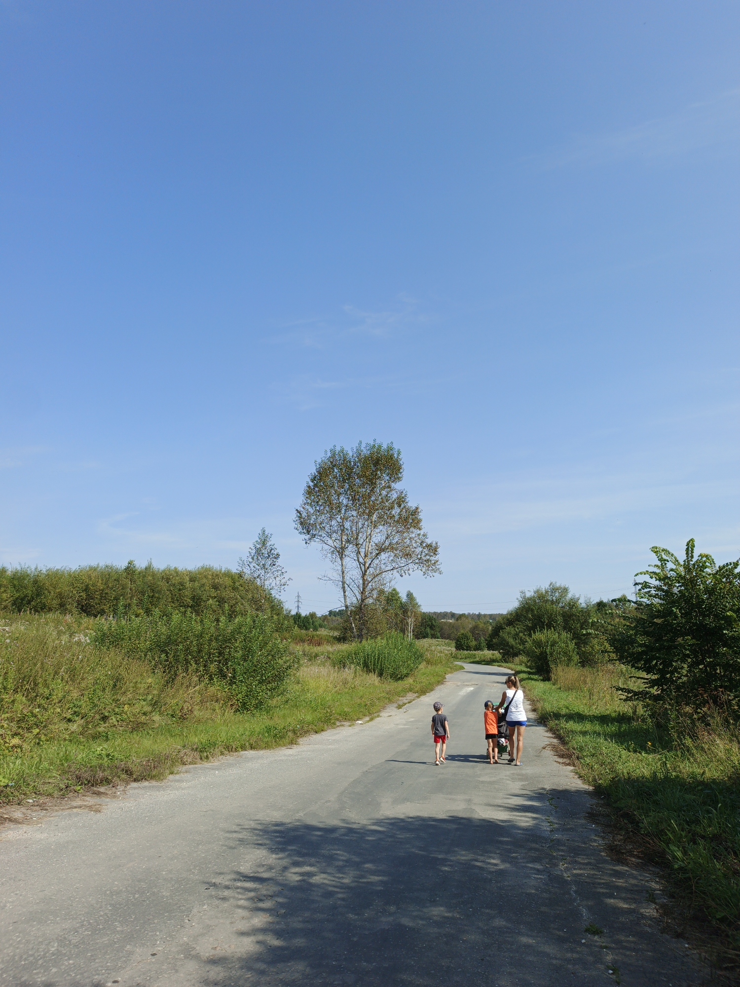 In Medvedevka, Russia, a family walks down a paved road on a sunny day. The road is bordered by lush green grass and trees. A woman, presumably the mother, walks with a stroller, while two young boys walk ahead of her. The sky is a clear, bright blue. The scene suggests a peaceful family outing in the countryside.