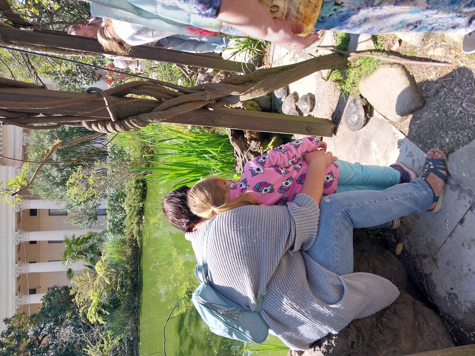 Here is a detailed description of the image:
**General Overview:**
The image appears to be taken from a slightly elevated perspective, looking down at a scene with a mother and child near a pond. There are other people present in the background. The overall setting seems to be a park or garden area.
**People:**
- A woman (presumably the mother) is wearing a light blue cardigan sweater, blue jeans, and sandals. She is embracing a child who is wearing a pink long-sleeved shirt with unicorn patterns and light blue pants.
- Other people are partially visible in the background, above and to the side of the mother and child.
**Objects:**
- A green pond is visible in the background.
- A building with classical columns is seen on the opposite side of the pond.
- There is a wooden fence, with twisted vines, separating the people from the pond.
- Several turtles are on the ground on the opposite side of the fence.
- The woman has a blue bag slung over her shoulder.
**Actions and Interactions:**
- The mother and child are embracing. They appear to be looking towards the pond, possibly at the turtles.
- Other people appear to be observing the turtles as well.
**Environment:**
- The setting appears to be outdoors. There are trees, grass, and other greenery visible, suggesting a park or garden. The background building with the white columns suggests a more formal garden or possibly an architectural site.
**Location:**
The presence of turtles on the ground in a landscaped park environment, coupled with classical architecture in the background, strongly suggests the Sochi Dendrarium, in Sochi, Russia. The colonnaded building visible across the pond is a distinct feature of the park.