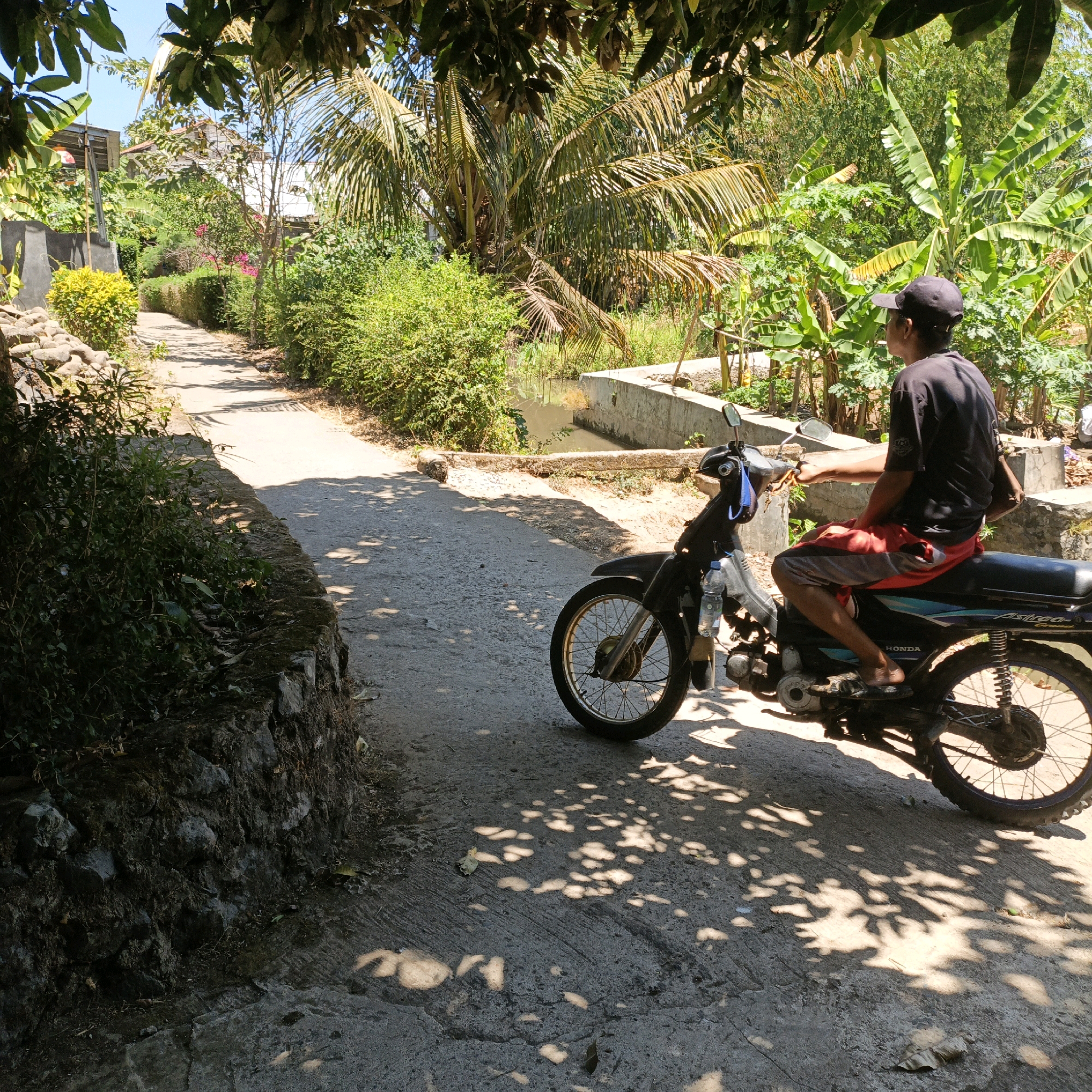 In the city of Mangli, Indonesia, a man wearing a black t-shirt and red and grey shorts rides a motorcycle down a paved road. The road is lined with lush green foliage, including banana trees and palm trees. A narrow, murky canal runs alongside the road, separated by a low concrete barrier. Sunlight filters through the leaves overhead, casting dappled shadows on the road. The man is viewed from behind, his right hand on the handlebars, and his left foot resting on the footpeg. A plastic water bottle is attached to the motorcycle's frame. The scene is tranquil, with no other people or vehicles visible.
