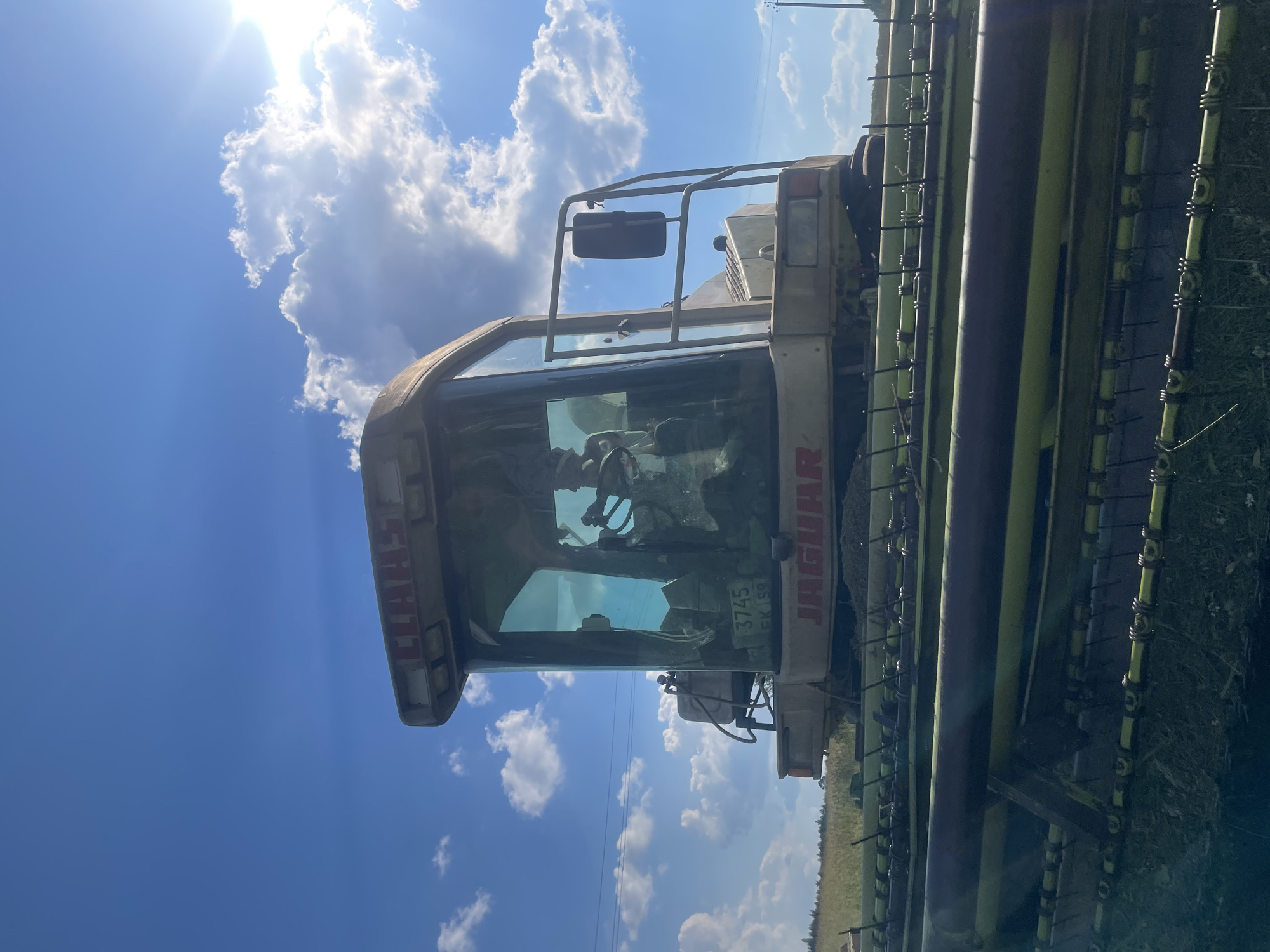 The image shows a Claas Jaguar 3745 forage harvester in a field under a bright, partly cloudy blue sky. The harvester's cabin is visible with large glass windows. A license plate with the characters "3745 EK 59" is attached to the lower front of the cabin. The text "JAGUAR" is visible in red lettering on the front of the machine. The harvesting header of the machine, with its cutting blades and mechanisms, is in the foreground. The background consists of a field of grass or crops, with a distant treeline and utility poles. The sun is shining brightly, creating lens flare and casting shadows. The location is identified as Bormist, Russia.