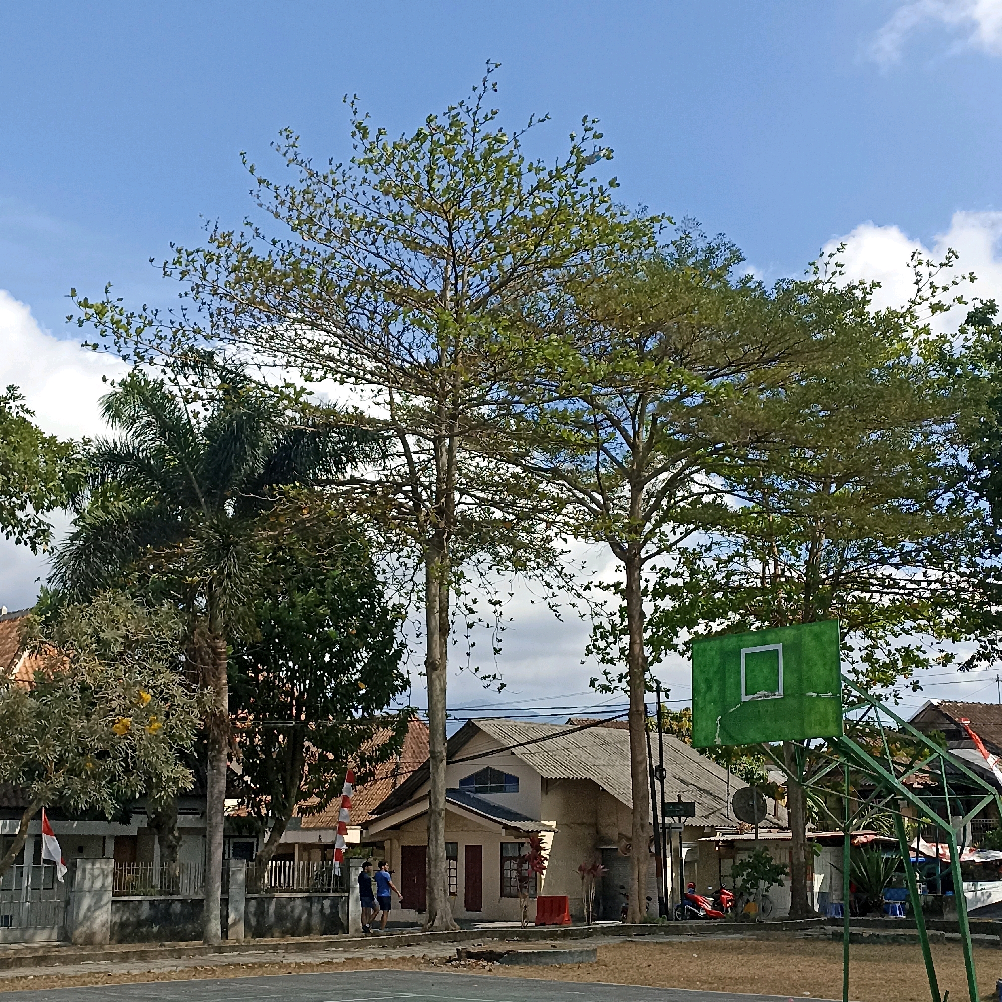 The image shows an outdoor basketball court with a green backboard and hoop. In the background, there are several tall trees with sparse green leaves, a palm tree, and a building with a red-tiled roof. Two people are walking on the court. There are Indonesian flags visible on poles near the building. The scene appears to be in a residential or semi-residential area, possibly in the city of Magelang, Indonesia, given the architecture and presence of flags. The sky is blue with scattered white clouds.