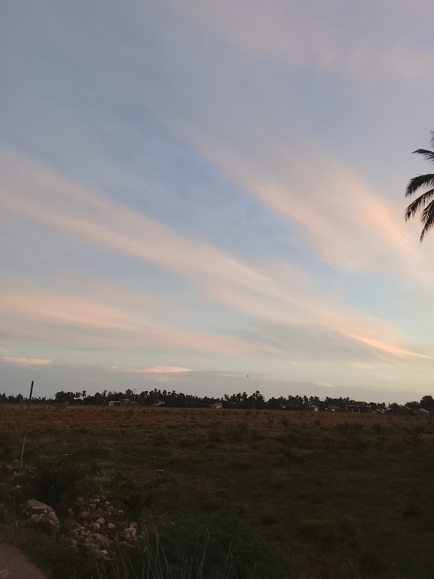 A serene, low-angle, eye-level shot captures a dusky sky over a rural landscape in Dayah Kruet, Indonesia. The sky, painted with broad strokes of soft pink and pale blue, suggests the twilight hours. Wispy, elongated clouds stretch across the frame, their pastel hues blending into the serene atmosphere. Below, a vast expanse of dry, brown grassland stretches to a distant treeline. A line of trees, dotted with palm trees, forms a dark silhouette against the horizon, partially obscuring a cluster of houses with red and white roofs. A single, thin wooden post stands to the left of the frame, its top disappearing into the grass. The overall impression is one of quietude and the gentle beauty of a rural sunset.