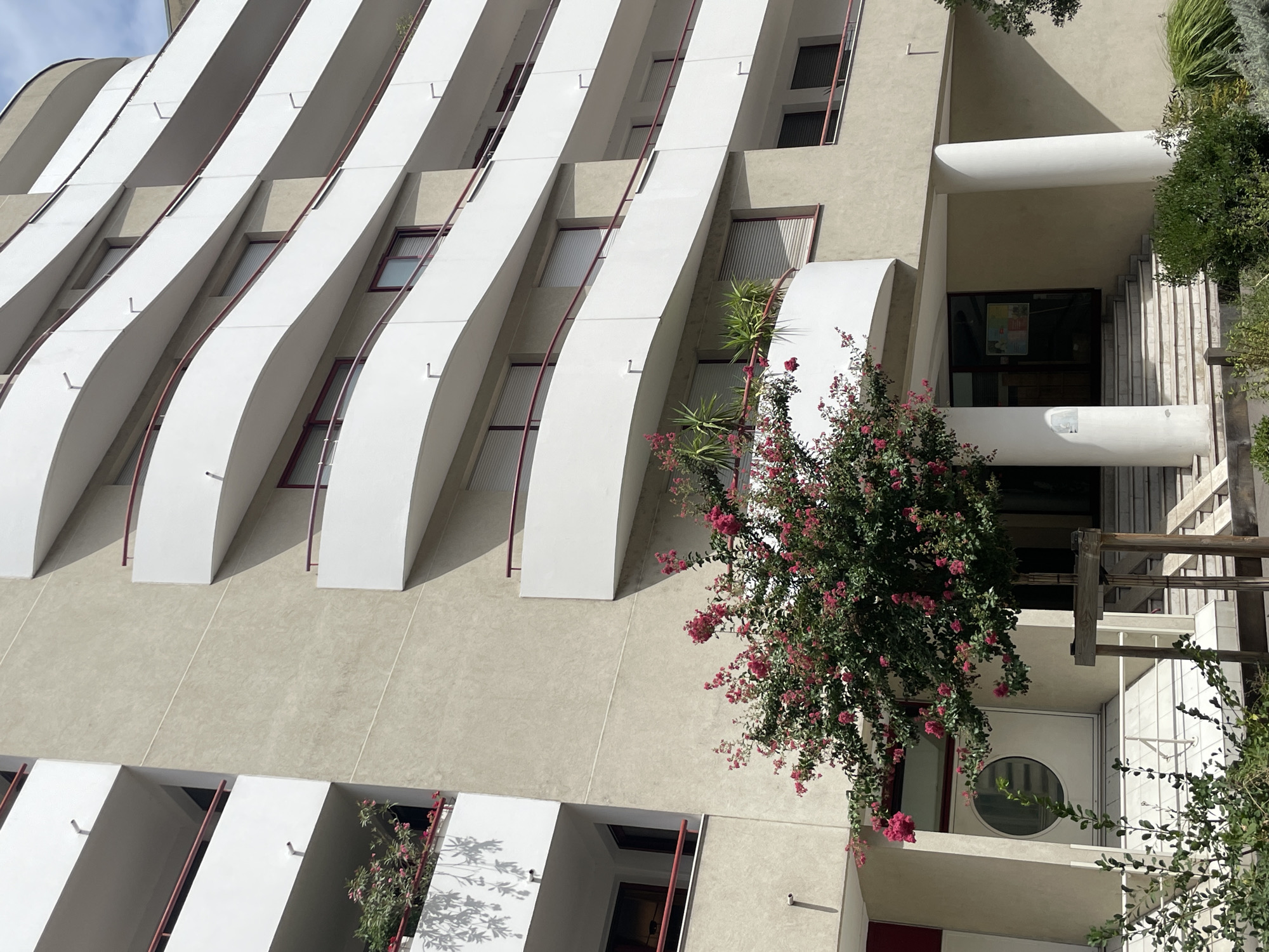 The image captures the exterior of a modern apartment building in Lyon, France, characterized by its curved white balconies with red railings. The building's facade is a neutral beige color, with visible horizontal lines suggesting different levels. A vibrant tree with pink flowers stands in front of the building, obscuring part of the entrance. The entrance itself features a set of stairs leading up to double doors, one of which has a circular window. The scene is bathed in sunlight, casting shadows on the building and creating a bright, daytime atmosphere. There are no people visible in the frame.