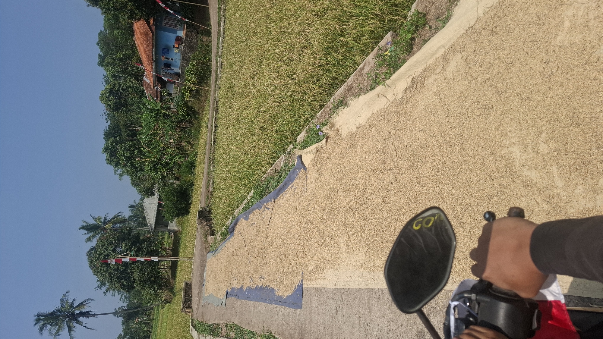 A first-person perspective shot shows a motorcycle rider's hand on the handlebars, with a side mirror reflecting the sky and a partially visible yellow marking. The rider is on a paved path beside a rice paddy, where a large amount of harvested rice is spread out on a tarp to dry. In the background, there are trees, a small building, and two houses with red tile roofs. Two Indonesian flags are visible on poles near the houses. The sky is clear and blue. The scene appears to be a rural area, possibly in or near Cianjur, Indonesia, given the presence of rice paddies and tropical vegetation.