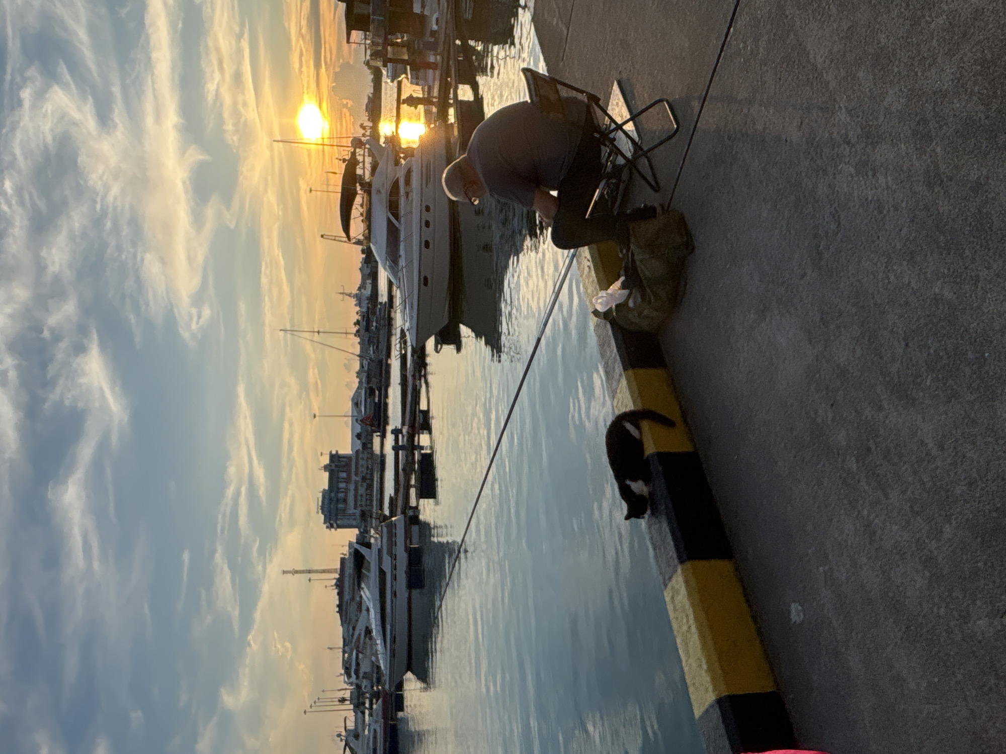 In Sochi, Russia, during a sunset, a man sits on a folding chair on a concrete pier, fishing with a rod. Beside him is a large green duffel bag. A black and white cat lies on the edge of the pier, near a yellow and black striped barrier. The pier overlooks a tranquil body of water filled with docked boats, including yachts. In the background, several buildings and structures, possibly part of a marina or waterfront development, are visible. The sky is filled with soft, wispy clouds, and the setting sun casts a warm, golden glow over the scene.