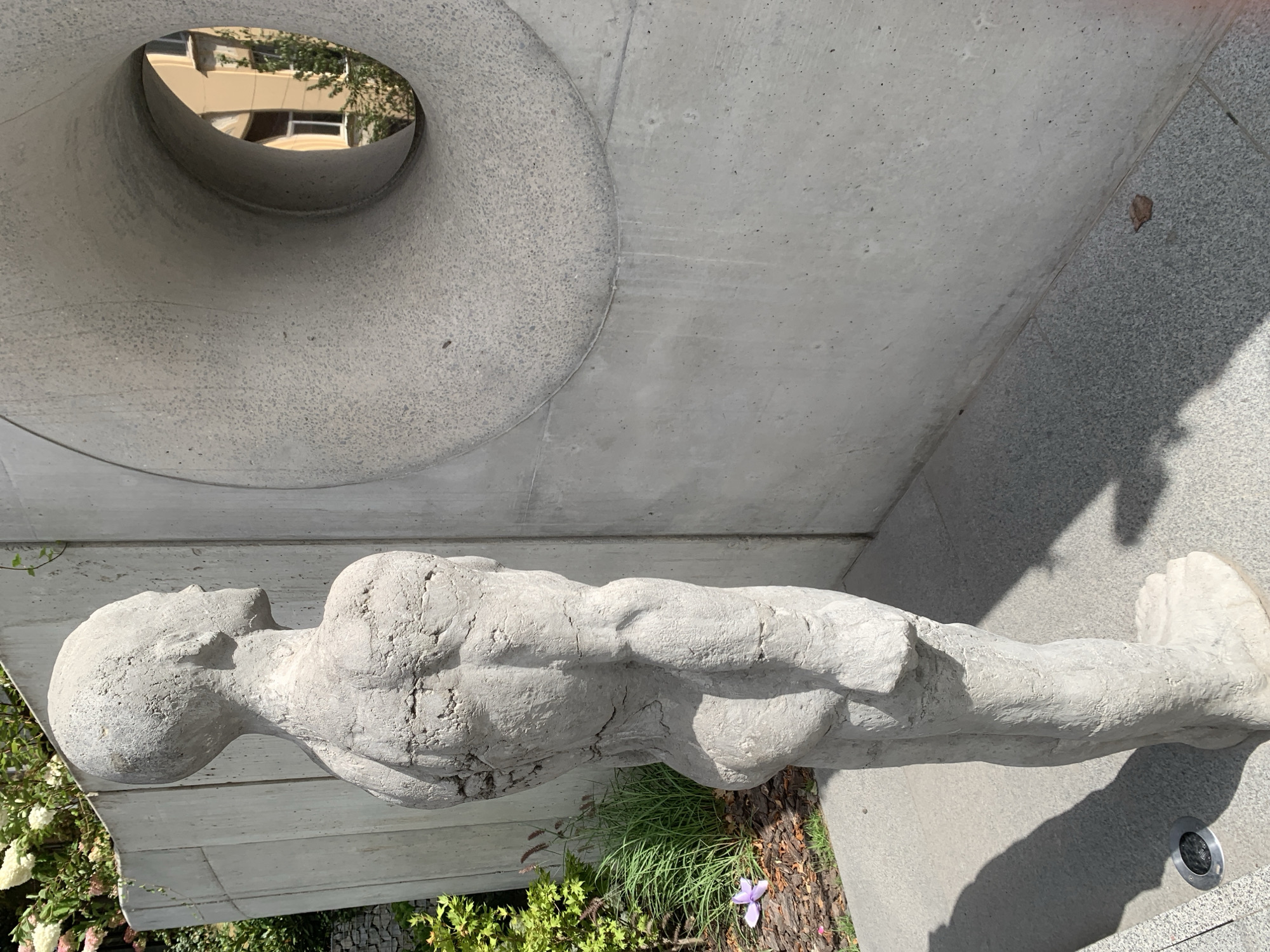 The image depicts a concrete sculpture of a headless male figure, viewed from the side and slightly from behind. The sculpture is textured and appears weathered. It stands on a paved area next to a large, plain concrete wall with a circular opening. Through the opening, a building with yellow facades and windows can be seen, along with some greenery. To the left of the sculpture, there is lush green foliage, some pink and white flowers, and a single purple flower on the ground. The scene is outdoors, under bright sunlight, casting distinct shadows. This sculpture is located in Lviv, Ukraine, specifically in the Sculpture Garden of the Lviv National Art Gallery.