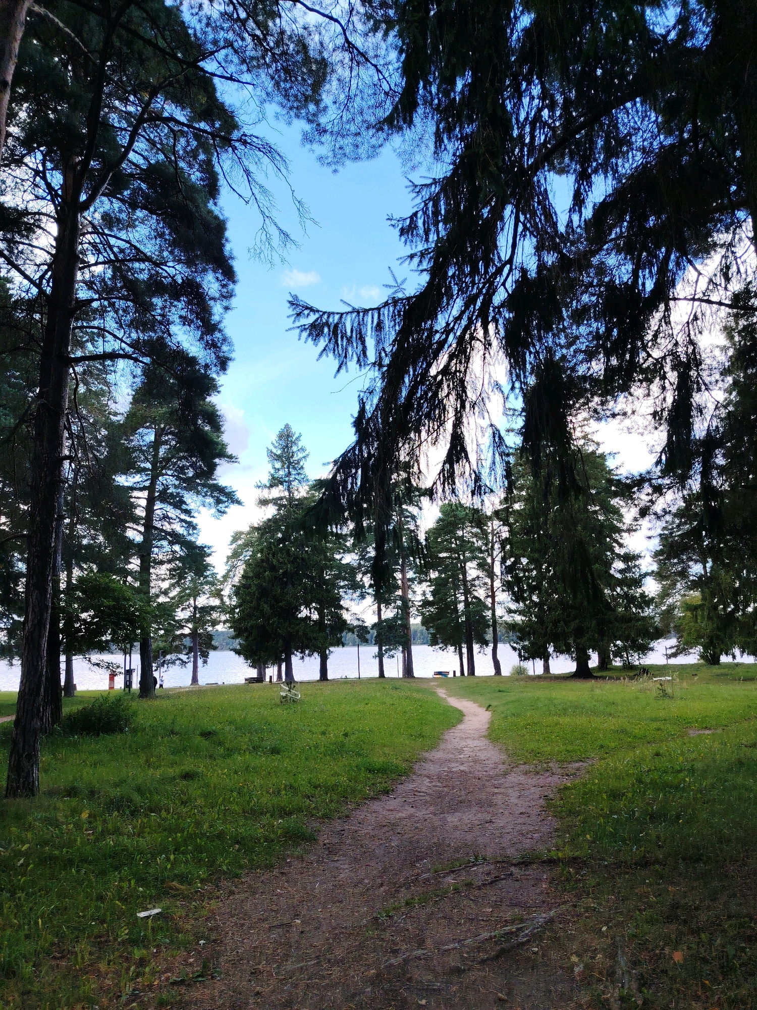 The image depicts a picturesque natural scene with a path winding through a grassy clearing towards a serene lake. Tall, dark green pine trees frame the view, their branches casting shadows and creating a sense of enclosure. The sky above is a clear blue, with a few wispy white clouds scattered across it. In the distance, the calm waters of the lake are visible, reflecting the surrounding greenery and sky. The path itself appears to be made of dirt and gravel, showing signs of use. The overall atmosphere is tranquil and inviting, suggesting a peaceful retreat within a forested area. This scene is characteristic of the natural beauty found in and around Konakovo, Russia, particularly along the Volga River, where such lakeside landscapes are common.