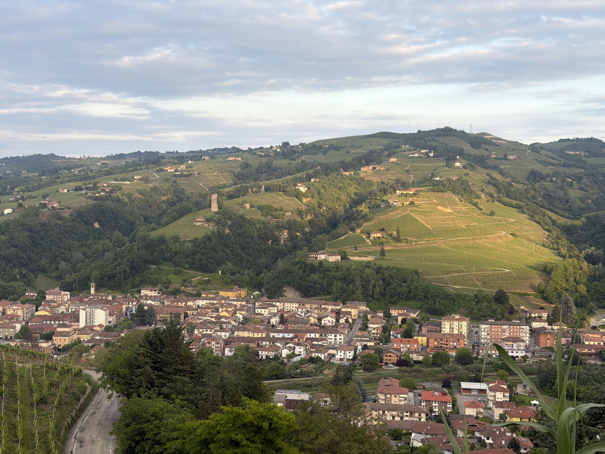 The image captures a panoramic view of Santo Stefano Belbo, Italy, nestled amidst rolling hills and vineyards. The town itself is a dense collection of buildings, mostly residential, with red-tiled roofs and varied architectural styles. A road winds into the town from the lower left corner of the image, bordered by vineyards. The hills surrounding the town are covered with vineyards, interspersed with patches of forest. Sunlight highlights certain areas of the vineyards, creating a play of light and shadow across the landscape. The sky is partially cloudy.