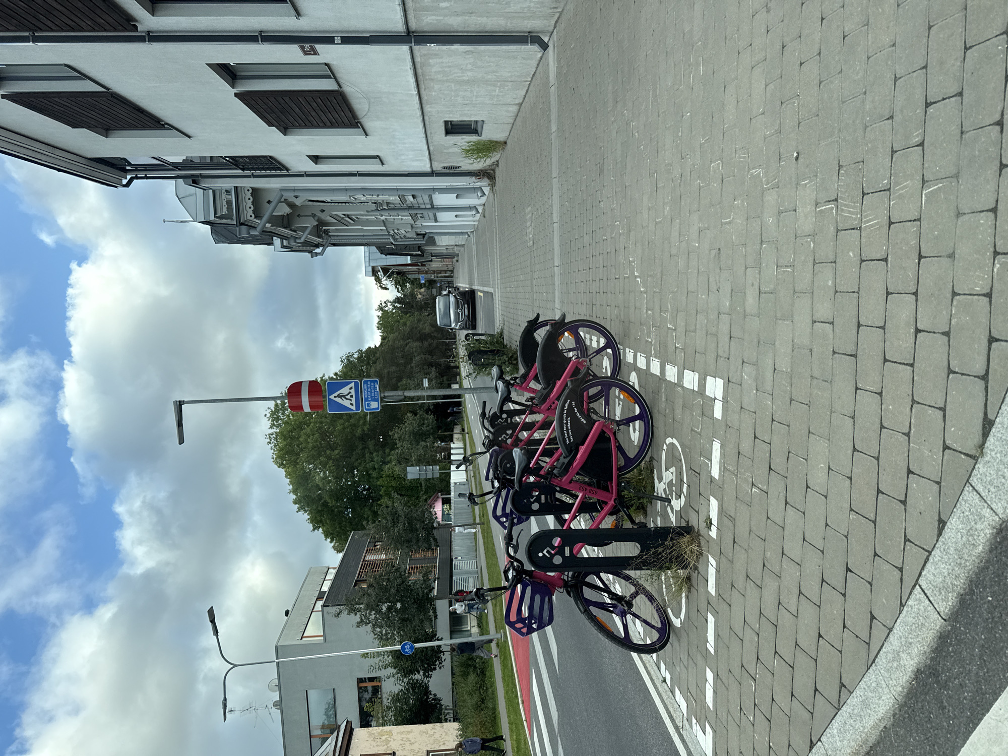 In Tallinn, Estonia, an outdoor scene captures a row of pink bicycles parked on a paved sidewalk adjacent to a street. The bicycles, some with purple baskets and rims, are secured by a black metal post. White markings on the pavement delineate parking spaces. To the left, a street with a red-marked pedestrian crossing is visible, with people walking on the sidewalk. In the background, buildings of varying architectural styles line the street, with trees and streetlights also present. The sky is partly cloudy.