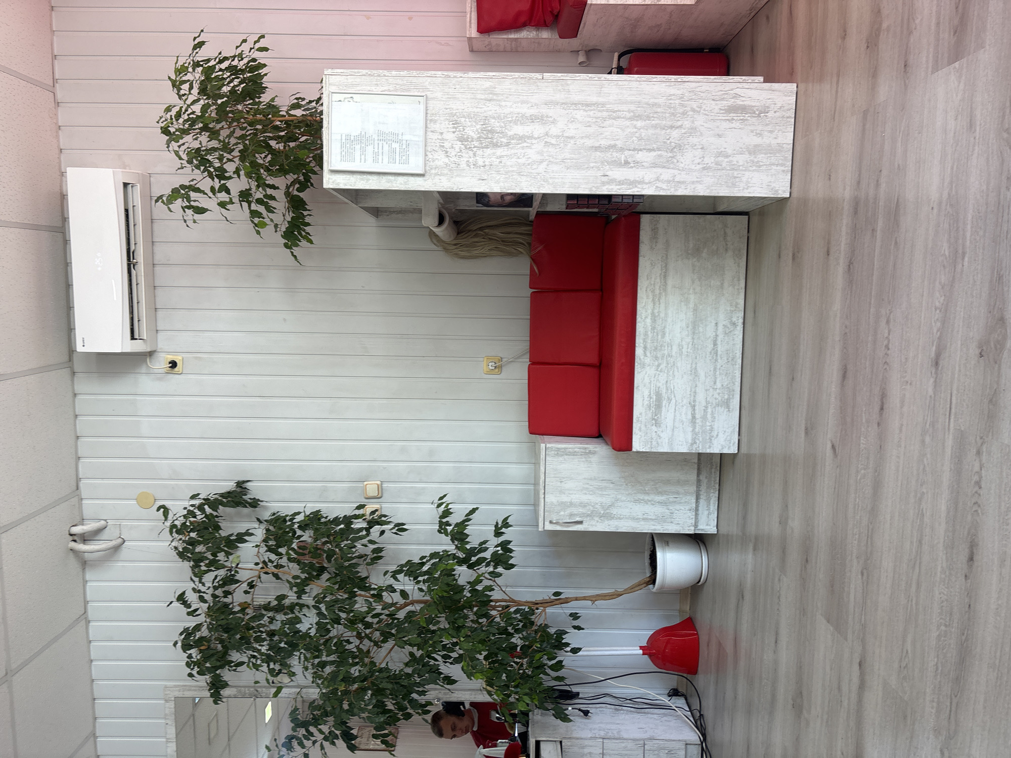 This is a medium shot, taken from a low angle, of the interior of what appears to be a salon or waiting area. The walls are paneled with vertical white wooden planks. A white air conditioning unit is mounted high on the wall. To the left, a large leafy plant in a white pot stands near a mirror and a person with dark hair wearing a red shirt and headphones. To the right, a red cushioned bench is situated in front of a white cabinet. Further to the right, a tall, narrow white shelving unit displays a framed document and a roll of what appears to be hair extensions. A red fire extinguisher is visible behind the shelving unit. The floor is made of light-colored laminate flooring. The overall lighting is bright and even. The scene is static and there are no overt actions or interactions occurring. The specific location of Pleven, Bulgaria, is not discernible from the image itself.