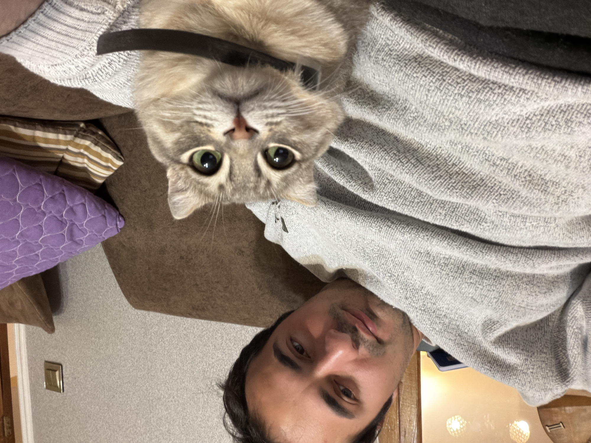 A man is holding a gray tabby cat, wearing a black collar, close to the camera. The man is wearing a gray knit sweater. The background includes a brown couch with a purple pillow and a beige wall. A light switch is visible on the wall. The location is suggested to be in the city of Novxanı, Azerbaijan.