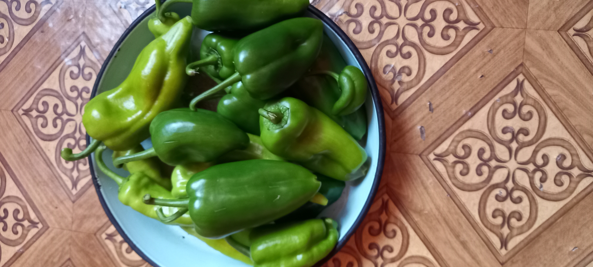 A close-up, top-down shot shows a bowl of green bell peppers resting on a patterned surface. The peppers, varying in shade from bright to dark green, are clustered together in a light blue enamel bowl with a dark rim. Some peppers are smooth, while others have slight indentations. The surface beneath is a wood-grain pattern with an overlay of ornate, repeating brown and tan decorative motifs. The scene appears to be indoors, on a tabletop or counter. The location in the city of Iskra, Bulgaria, is not discernible from the visual information present.