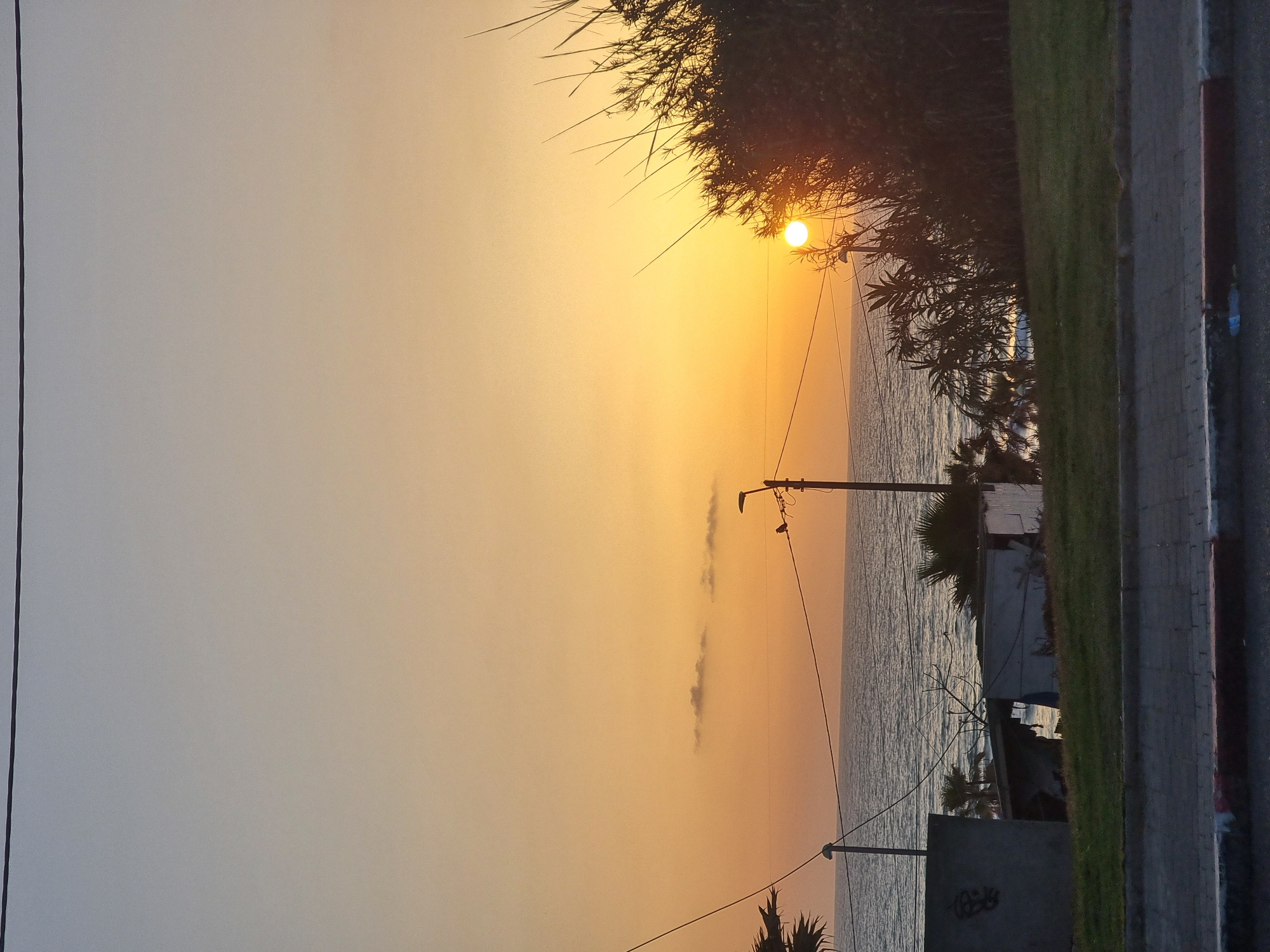 The image captures a sunset over the Mediterranean Sea, likely taken in Tel Aviv, Israel, given the coastal environment and urban features. The sun is low on the horizon, partially obscured by foliage in the upper right corner, casting a warm, orange glow across the sky and water. A lamppost and power lines are visible in the foreground, silhouetted against the bright sky. The sea is calm, with gentle ripples reflecting the sunlight. Along the right edge of the frame, there's a sidewalk and a narrow strip of grass, suggesting an urban beach setting. A building or structure and some vegetation are visible near the waterline.