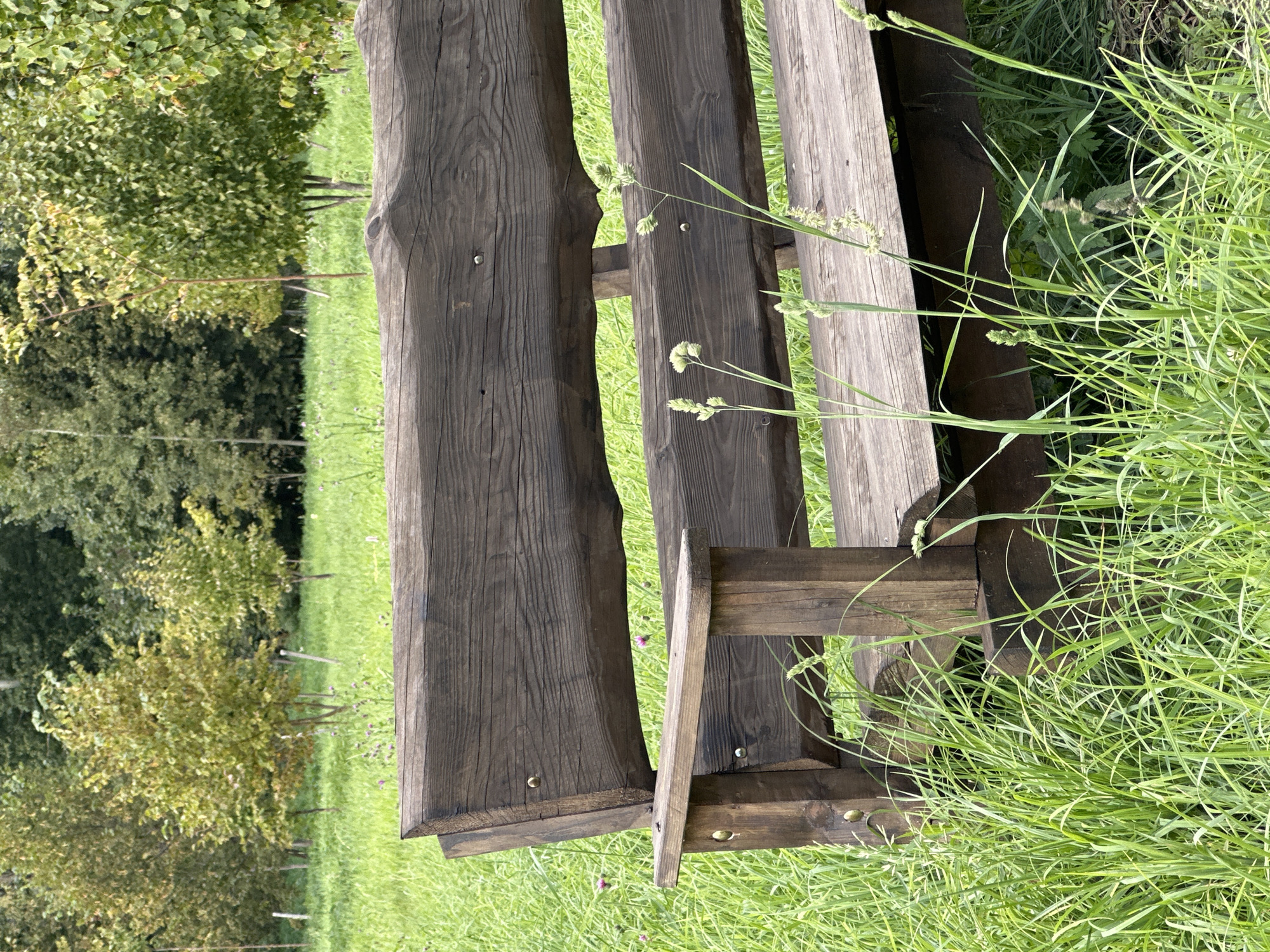 An empty, rustic wooden bench sits in a grassy park area. The bench is made of thick, dark wood with visible grain and texture, and it is positioned at an angle within the frame, occupying the majority of the foreground. The bench consists of a backrest and a seat, with an armrest visible on the left side. The wood appears weathered.
The bench is surrounded by lush green grass, which is tall and somewhat overgrown in places, reaching up to the seat and around the legs of the bench. Scattered among the grass are a few small, purplish wildflowers. In the background, there are several trees with green and yellowing foliage, suggesting it might be late summer or early autumn. The trees form a backdrop of a park or wooded area. The lighting suggests an outdoor daytime scene, possibly overcast given the lack of strong shadows.
The image does not show any people, animals, or specific landmarks that would identify its location within Minsk, Belarus. The scene is peaceful and natural, typical of a park setting.