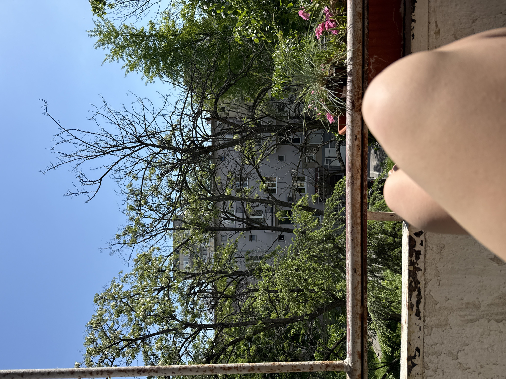 A low-angle shot, possibly taken from a balcony, focuses on a view framed by a rusty metal railing. The leg of a person, presumably the photographer, is visible in the right corner. Behind the railing, the scene unfolds to reveal a multi-story building, likely a residential structure, partially obscured by lush greenery and trees. A clear blue sky is visible in the background. Given the urban setting and architectural style, the photo may have been taken in a residential area of Plovdiv, Bulgaria.