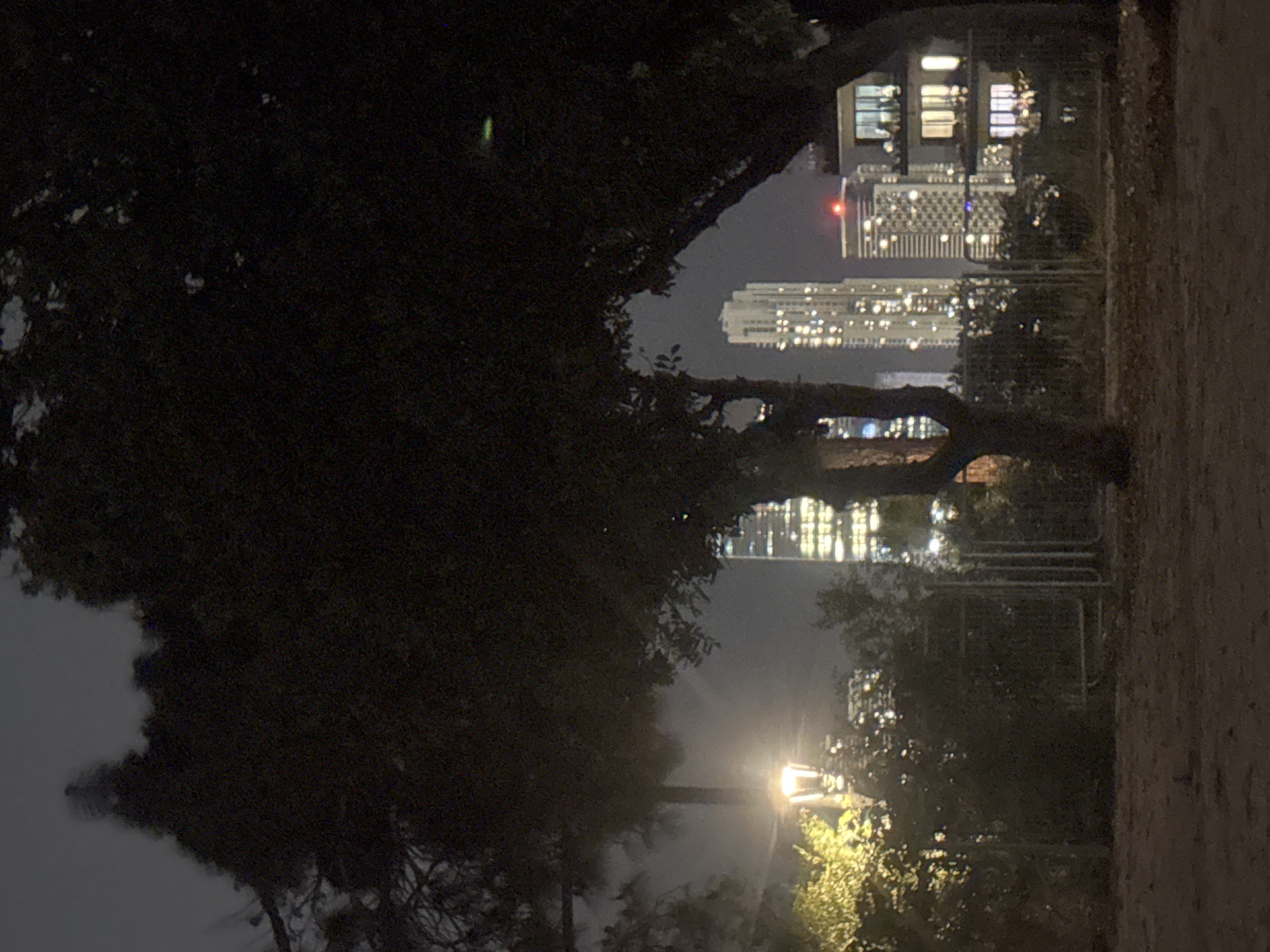 The image shows a night scene in Givatayim, Israel, with a dark tree dominating the foreground. Through the branches, illuminated high-rise buildings are visible in the distance. A street lamp is seen amid the foliage in the middle ground. A fence separates the vegetation from a dirt path. The sky is overcast and dark.