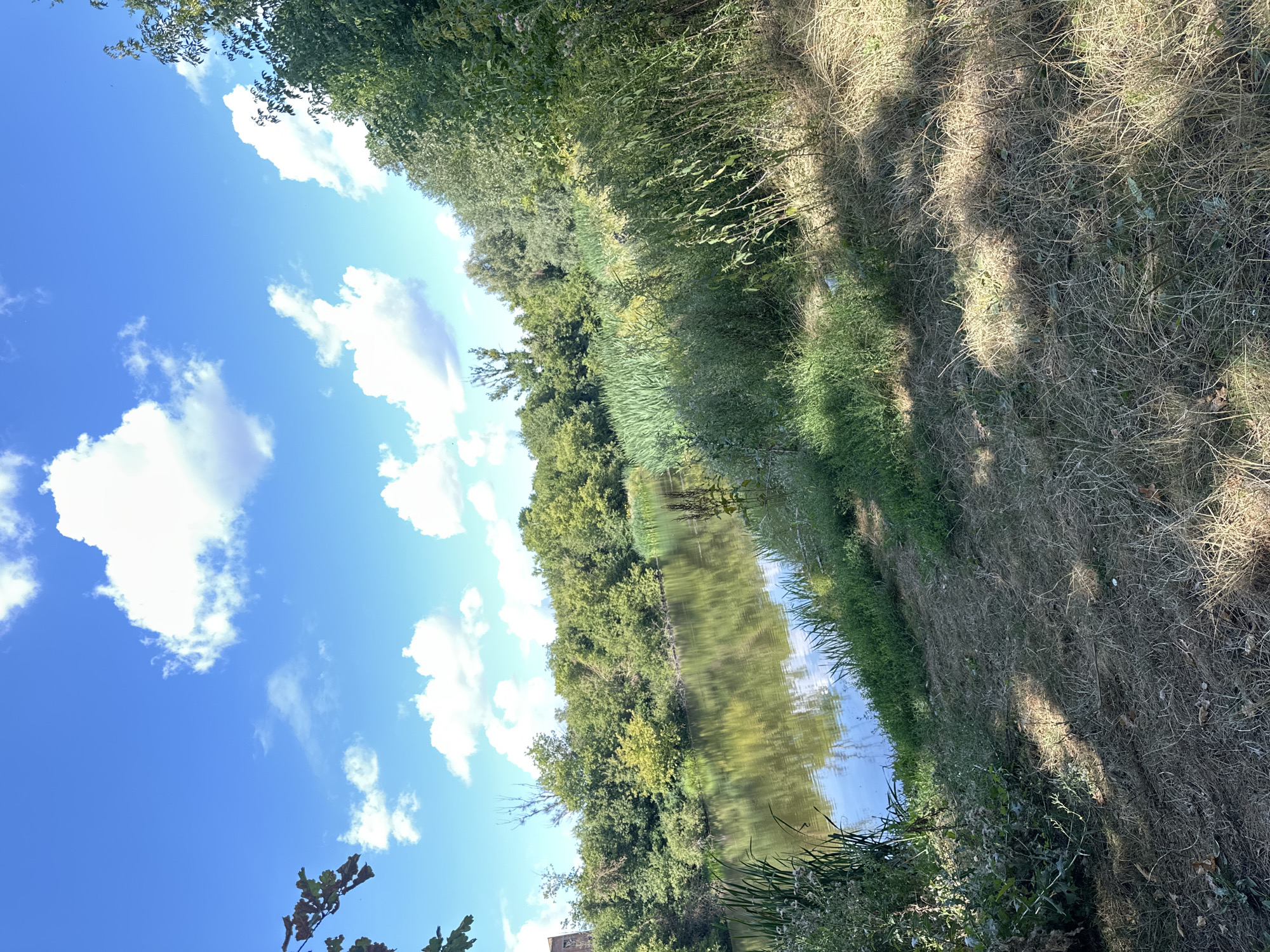 The image depicts a tranquil natural scene, likely a body of water such as a river or canal, bordered by lush vegetation and trees. The sky above is a vibrant blue, dotted with fluffy white clouds, suggesting a clear and sunny day. The water is calm and reflects the surrounding greenery and the sky, creating a serene atmosphere. The banks of the water body are covered in dense grass and reeds, with taller trees forming a canopy in the background. In the foreground, dry grass covers a sloping terrain, possibly a pathway or a bank.
While the image itself does not provide explicit indicators of its location within Makiv, Ukraine, such natural settings with water bodies and dense foliage are common in rural or semi-rural areas surrounding Ukrainian cities. This scene could represent a park, a nature reserve, or simply a natural watercourse within or near Makiv. The image is devoid of any people, objects, or actions, focusing solely on the landscape. The forensic description is purely observational of the visual elements present.