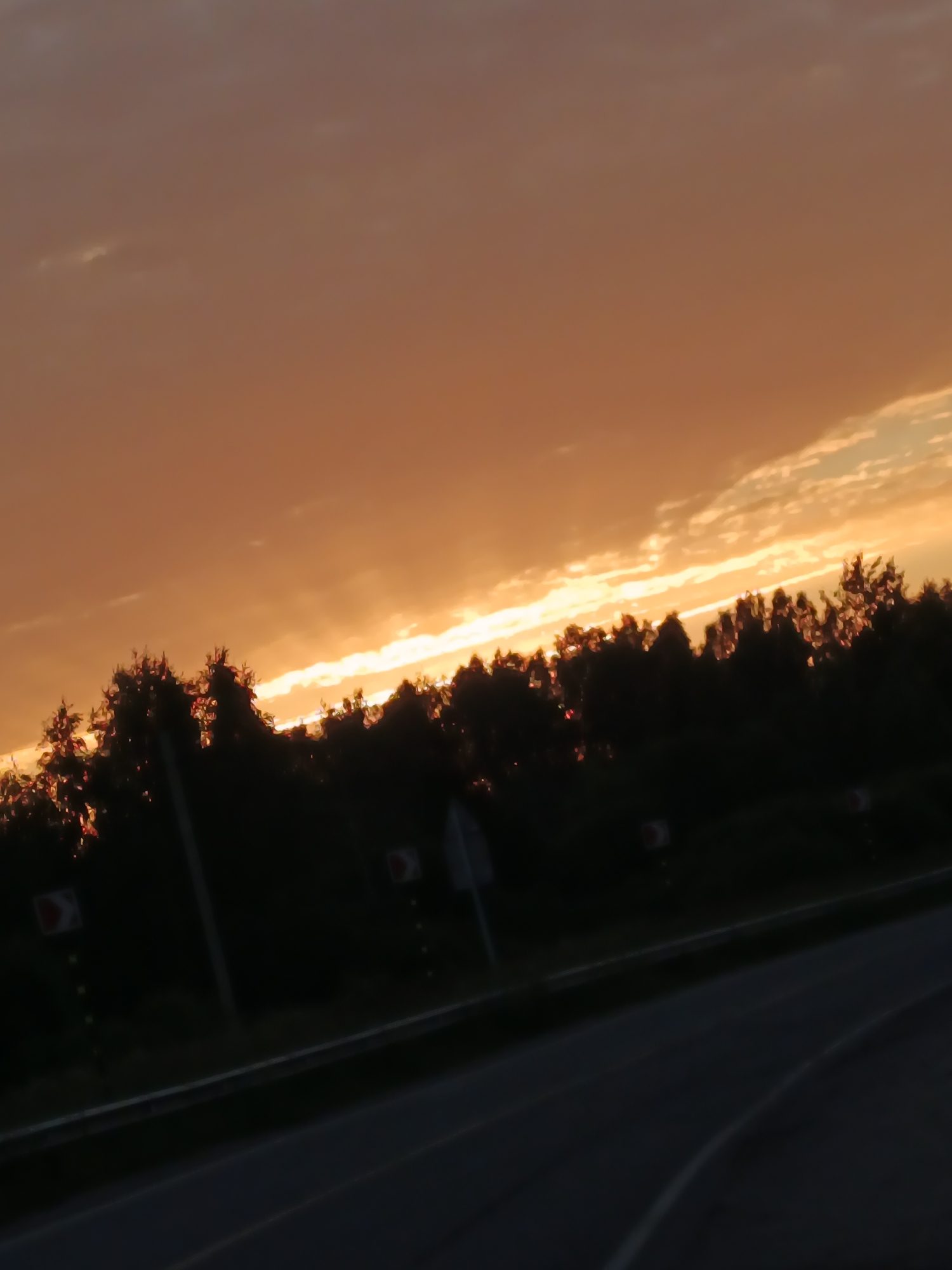 The image depicts a sunset over a landscape that is consistent with the area of Воскресенское, Russia. The sky is filled with warm, orange and yellow hues, indicating the sun is low on the horizon. A line of silhouetted trees forms a dark band across the middle of the frame, with hints of light glinting through the leaves, suggesting it is a dense wooded area. In the foreground, a paved road or highway is visible, angling diagonally from the lower left to the lower right of the image. The road appears to be either empty or the vehicle from which the photo was taken is moving, creating a blurred effect. Along the side of the road, there are several traffic signs, including directional signs with red arrows and white symbols, consistent with road markings found in Russia. The overall impression is a rural or semi-rural setting during a beautiful sunset.