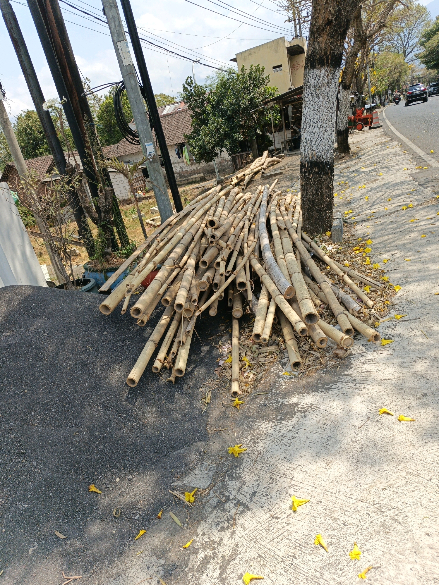 The image depicts a roadside scene in the city of Batu, Indonesia. A large pile of cut bamboo poles is stacked on the ground next to a paved sidewalk and a road. Several utility poles with electrical wires are visible behind the bamboo, along with some residential buildings and trees. Yellow flowers are scattered on the sidewalk and road, indicating a possible flowering season or wind activity. A black car and a scooter are seen on the road in the distance, suggesting ongoing traffic. The ground consists of dark gravel on the left and a light-colored concrete surface on the right. The scene is illuminated by natural daylight, casting shadows.