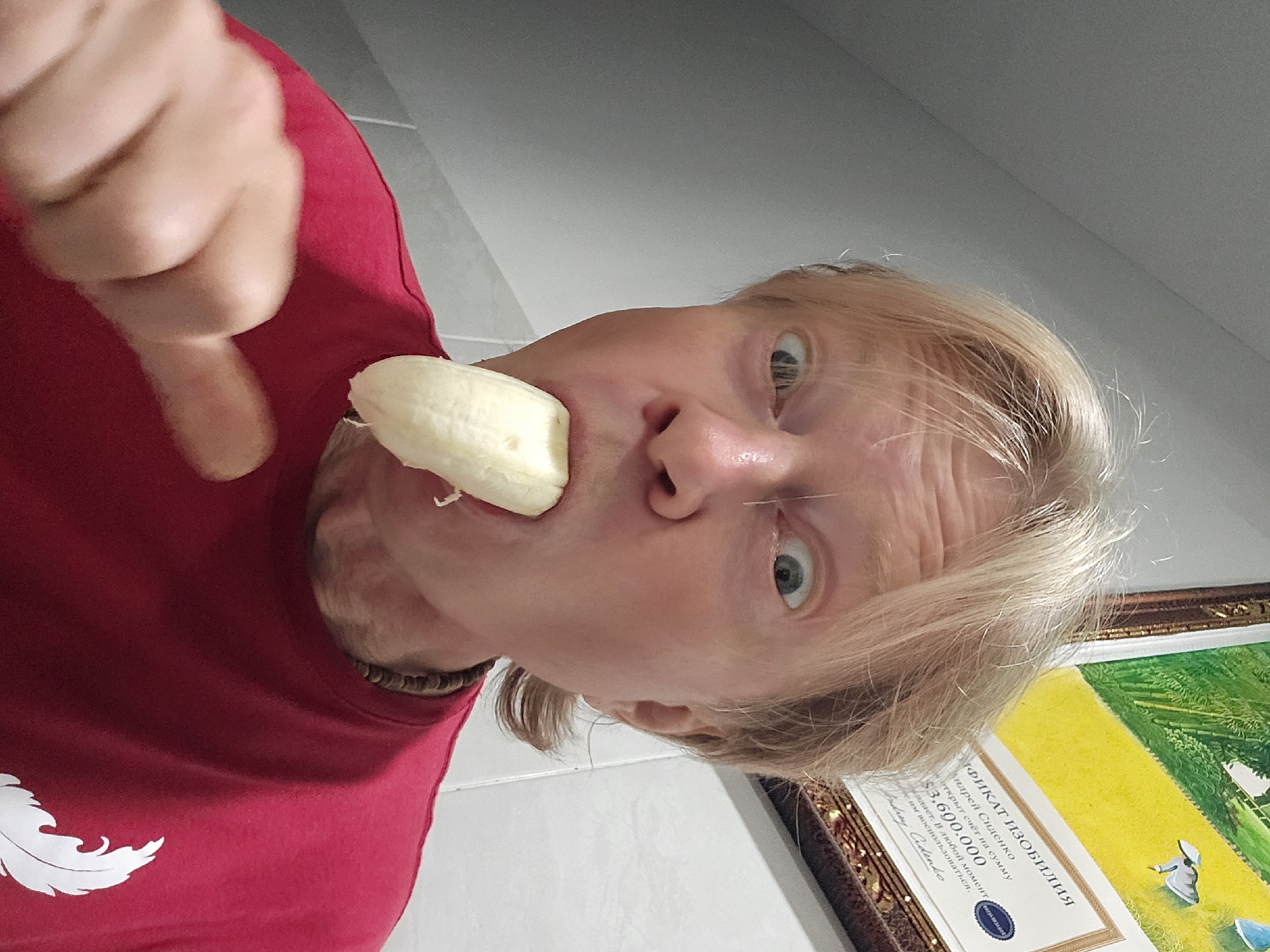 A blond-haired man with blue eyes is holding a peeled banana in his mouth and pointing his finger at it. He is wearing a red shirt with a white feather design. To the right of the man is a framed certificate. The text on the certificate is in Russian and reads, in part, "ИФИКАТ ИЗОБИЛИЯ Андрей Сиденко открыт счёт на сумму $3,600.000." The location and city are not identifiable in the image.