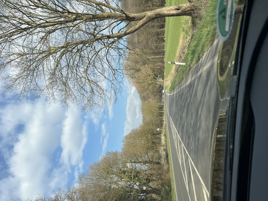 The image captures a forward-facing view from inside a vehicle on a paved road in Stolberg, Germany. The road, marked with white dashed lane lines and a solid white edge line, curves gently to the right in the mid-distance. Tree shadows are distinctly cast across the road surface.
To the left of the road, a dense line of deciduous trees, mostly bare, borders the route, with some exhibiting early spring foliage. A white triangular road sign with a red border is visible on the left shoulder. To the right of the road, a grassy verge leads to a vibrant green field, which is backed by a dense deciduous forest covering a sloping terrain. A prominent, large, bare deciduous tree with extensive branching stands on the right side of the road, near the verge. A white roadside marker post with a black top is situated on this verge.
A white car is distantly visible moving away on the curved section of the road. The sky above is blue with scattered white cumulus clouds. The lower part of the image shows the vehicle's dark dashboard and a reflection of a circular green environmental sticker (Umweltplakette) on the windshield. No individuals are visible.