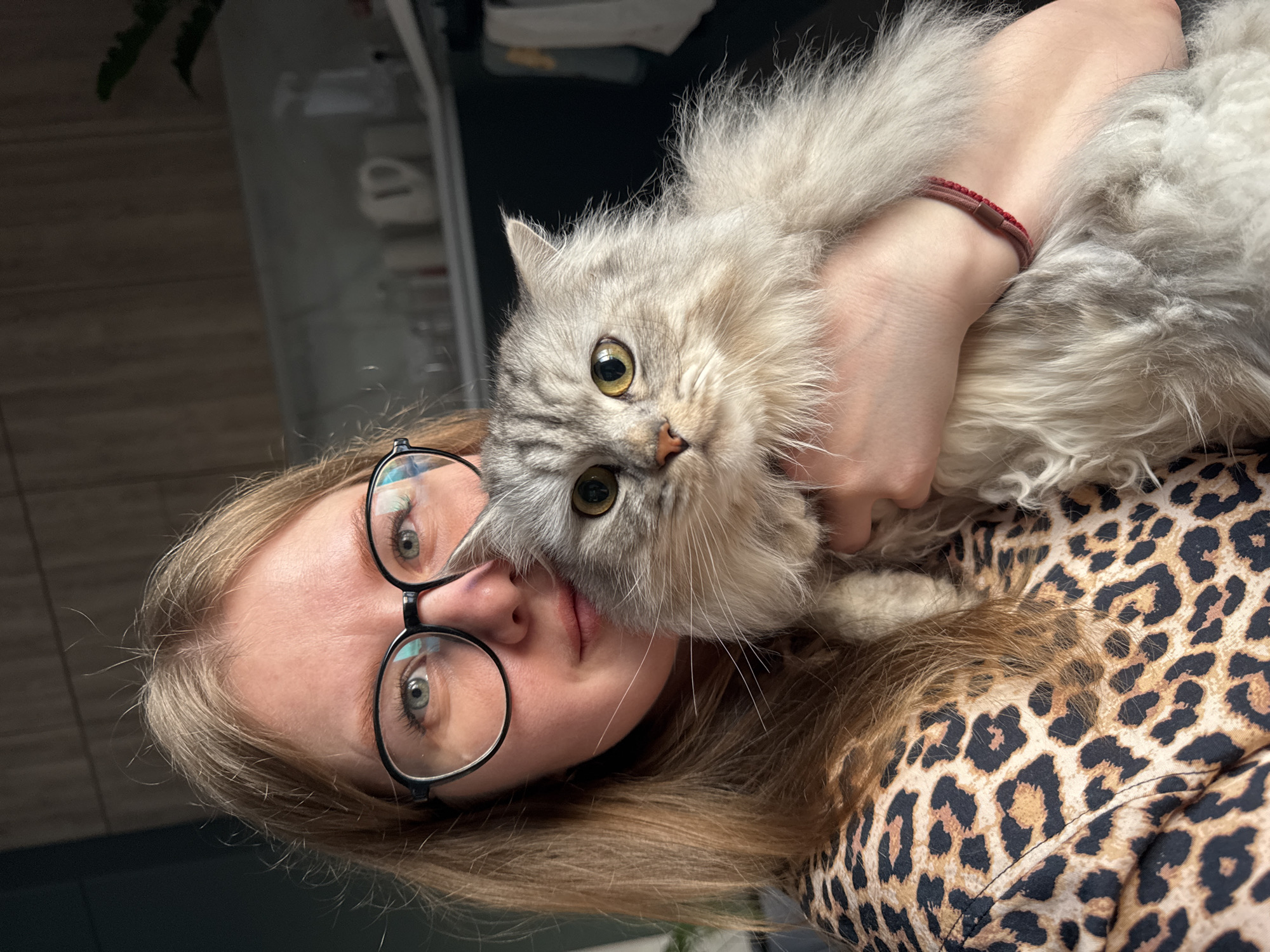 A person with glasses and a leopard print shirt is holding a fluffy, gray cat with yellow eyes. The location cannot be determined from the image, beyond that it is possibly an indoor scene due to the presence of the wall and limited visible background.