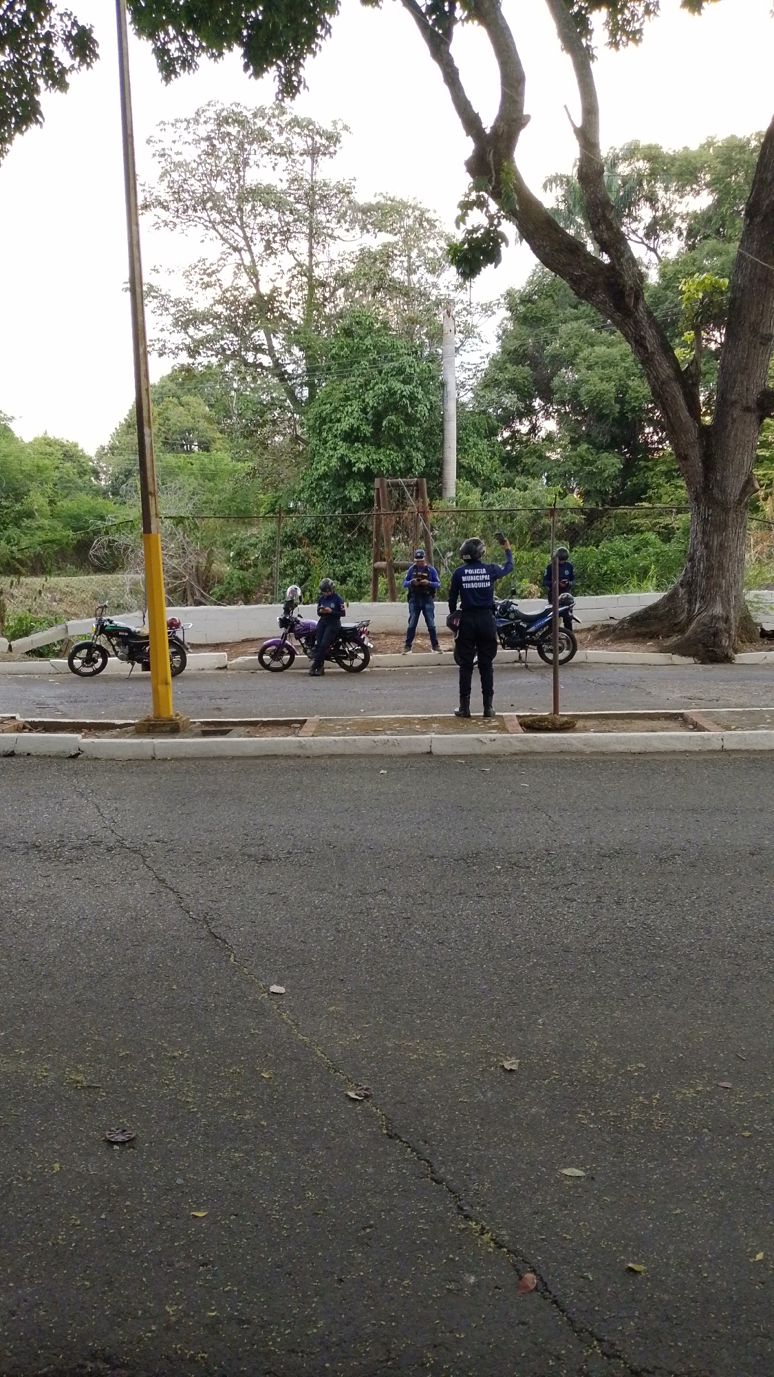 The image depicts a roadside scene in Tinaquillo, Venezuela, likely during the late afternoon or early morning due to the soft, bright light. The main subjects are several individuals, some of whom appear to be police officers, gathered with motorcycles on the side of a paved road.
In the foreground, a person in a dark blue uniform with "POLICIA MUNICIPAL TINAQUILLO" visible on the back of their shirt stands facing away from the camera, with their right arm raised as if signaling or directing. To their left, a tall, yellow pole rises from the sidewalk. Further back on the sidewalk, another officer in uniform is seated on a purple motorcycle, while a green motorcycle is parked nearby. Towards the right side of the frame, another police officer stands near a blue motorcycle. In the background, a person in a blue shirt and jeans stands near another motorcycle.
The setting includes a paved road with some cracks and scattered leaves in the immediate foreground, followed by a curb and a sidewalk. Beyond the sidewalk is a dense green area with numerous trees and thick foliage, and a chain-link fence or barrier is partially visible. A large tree with a thick, gnarled trunk stands prominently on the right side. The sky is bright and clear, suggesting fair weather. The overall impression is a routine gathering or stop by municipal police in a semi-urban or suburban area.