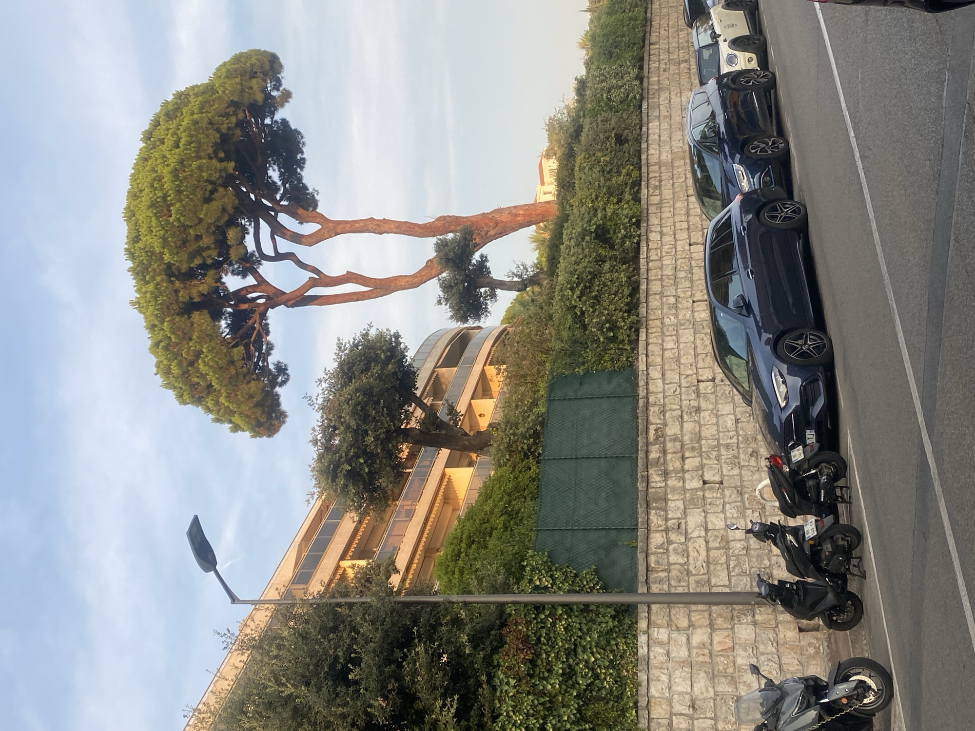 The image captures a street scene in Antibes, France, on a clear day with a bright sky. The foreground shows a row of parked vehicles, including three black scooters and several cars. The scooters are positioned along the curb, with license plates visible. Following the scooters is a dark blue station wagon, a dark blue minivan, and a white Mini Cooper. Behind the parked vehicles is a textured stone wall. Above the wall, a green fence is visible, backed by dense green foliage and hedges. In the mid-ground, a large pine tree with a broad canopy stands prominently, its trunk reddish-brown. To the left of the pine tree, a multi-story building with balconies and awnings is partially visible, constructed with light-colored materials. A street lamp with a dark fixture stands tall next to the building. The overall environment suggests a well-maintained urban or resort area. There are no people visible in the scene.