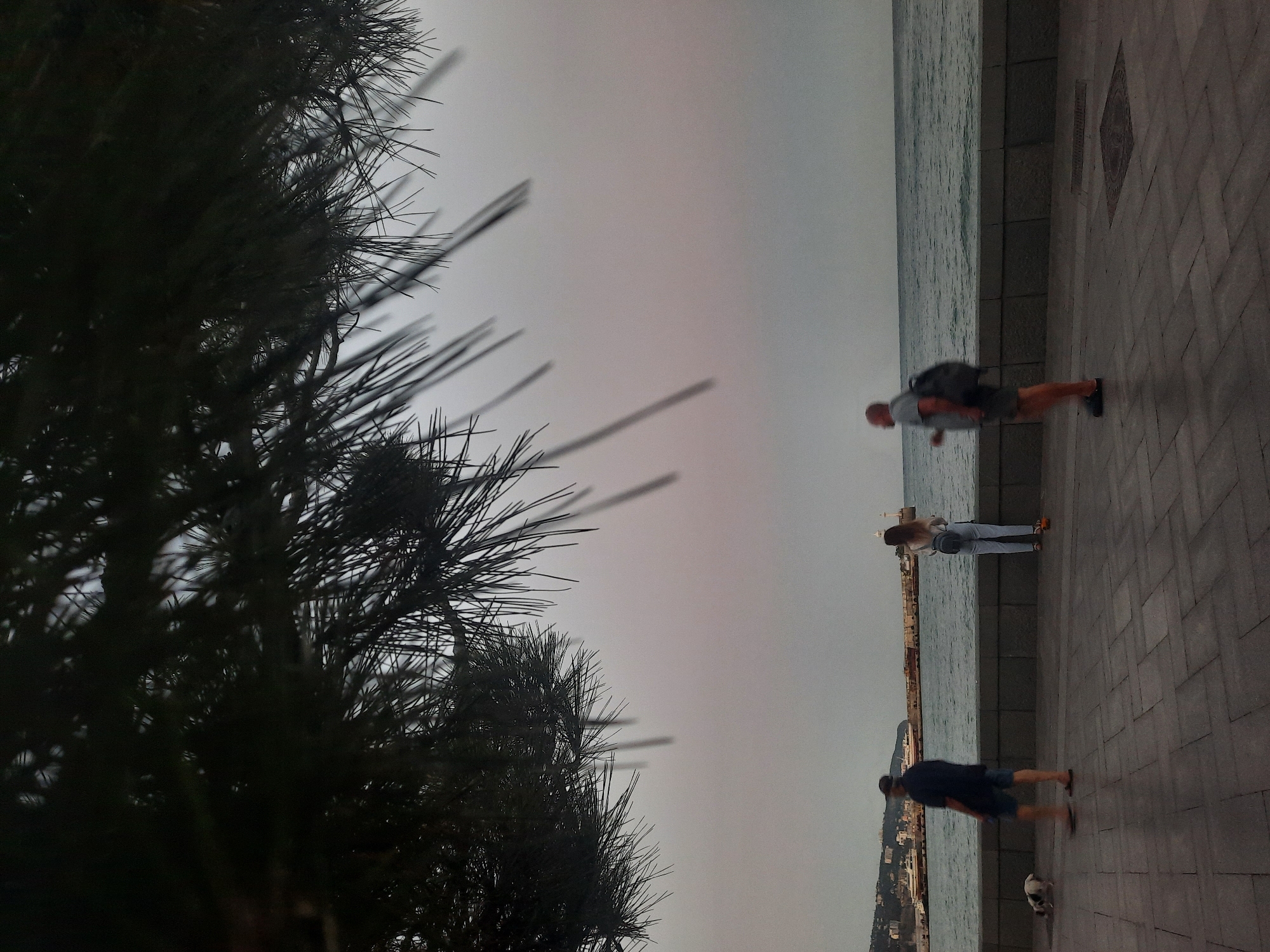 The image depicts a view of the Yalta embankment under a hazy sky. In the foreground, pine branches hang over the scene. A paved walkway runs along the edge of the sea. Three individuals are present: on the left, a man in a dark shirt and shorts walks with a small dog. In the middle, a woman in a light-colored top and jeans stands facing the sea, holding a phone. On the right, a man in a gray t-shirt and shorts with a backpack on his back stands facing the sea. In the background, the sea stretches out to a horizon marked by a breakwater with a lighthouse, and a distant shoreline with buildings. The overall atmosphere is muted and somewhat overcast.