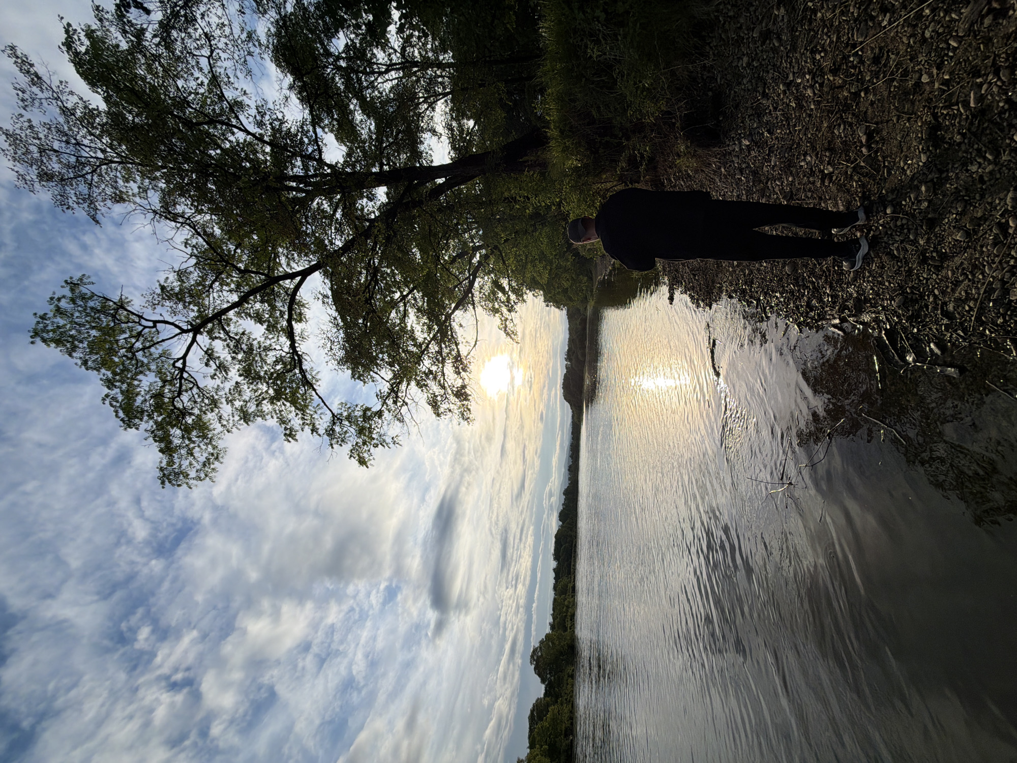 An adult individual, presumed male, stands facing away from the viewer on a rocky riverbank in Birobidzhan, Russia. The person, wearing a dark long-sleeved garment, dark pants, and athletic shoes with a dark cap, observes a wide river at what appears to be late afternoon or early evening. The setting sun, positioned low on the horizon towards the right, casts a bright reflection across the water's rippled surface.
The river's immediate bank consists of an accumulation of small, dark grey and brown pebbles and stones, with minimal visible vegetation near the waterline. Dense deciduous trees with green foliage line the right side of the frame, towering over the person and casting deep shadows, indicating the sun's position relative to them. Further across the river, a continuous line of similar trees forms a lush green horizon. The sky is largely covered by elongated, wispy cirrus and stratocumulus clouds, displaying shades of white, grey, and blue, with the sun's diffuse glow visible through and above them. No other individuals or significant man-made structures are present within the observable scene.