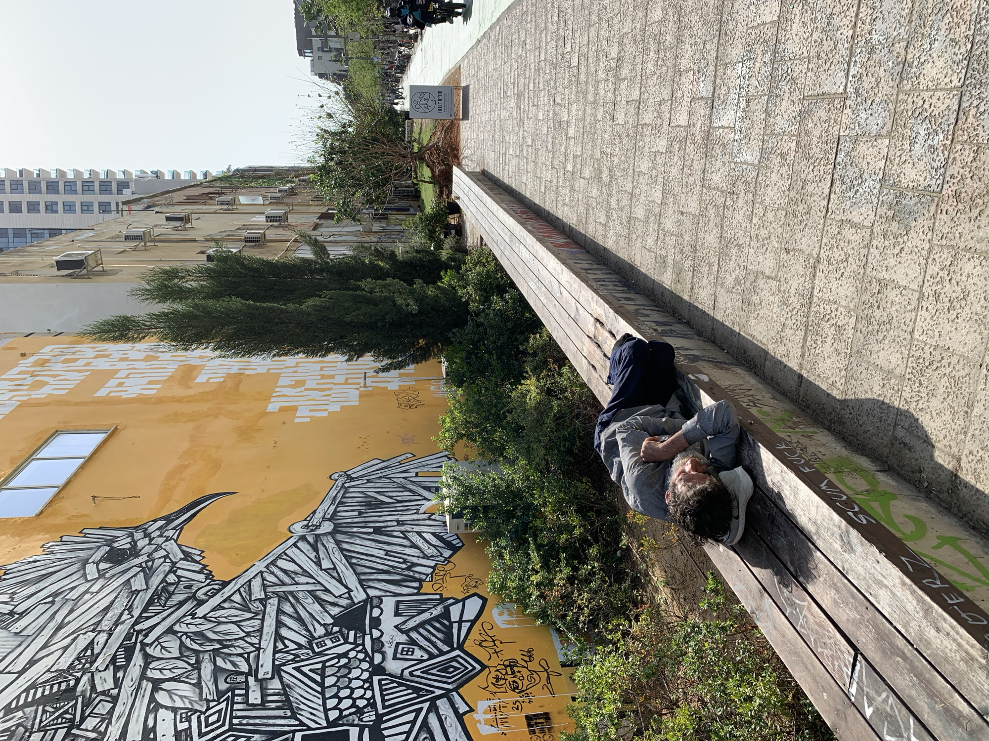 This media file captures an outdoor urban scene in Tel-Aviv, Israel, on a bright, sunny day. The image, originally taken with a vertical orientation and rotated, primarily features a man resting or sleeping on a long wooden bench. He has a beard and dark, curly hair, and is wearing a light-colored long-sleeved shirt and dark clothing. Strong sunlight casts clear shadows across the scene.
The wooden bench, which has some graffiti including "FUCK" and "GER7" (partially visible) and green marks, runs parallel to a paved walkway made of light-colored, textured stone pavers. Adjacent to the bench is a strip of greenery with bushes and a tall evergreen tree. Beyond this, a prominent yellow building wall displays a large, striking black and white mural of a stylized bird or creature composed of geometric and wood-like patterns. Several black graffiti tags are also visible on the yellow wall below the mural. A rectangular window is set high on the yellow wall.
In the distance, across the walkway, other multi-story buildings are visible under a clear sky, one with multiple air conditioning units on its roof. A small white sign, standing in a grassy area beside the walkway, features an illustration and the Hebrew word "החלון" (HaChalon - The Window). The setting appears to be a public park or pedestrian area within the city.