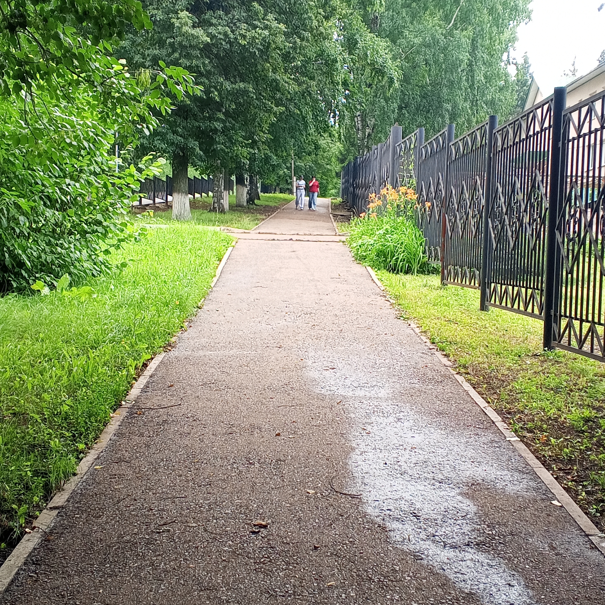 The image depicts a paved pathway in a park-like setting, likely in Dyurtyuli, Russia, bordered by lush green grass on the left and a black metal fence on the right. Two individuals are walking away from the viewer on the pathway. The fence has an ornate diamond pattern and is partially obscured by flowering plants in shades of orange. Beyond the fence, a building with a light-colored facade and windows is visible. Tall trees with dense green foliage line the left side of the pathway, with some of their trunks showing white markings. The sky is overcast, suggesting a cloudy day. The pathway itself appears damp, with some scattered debris and a patch of white material, possibly paint or chalk, on its surface.