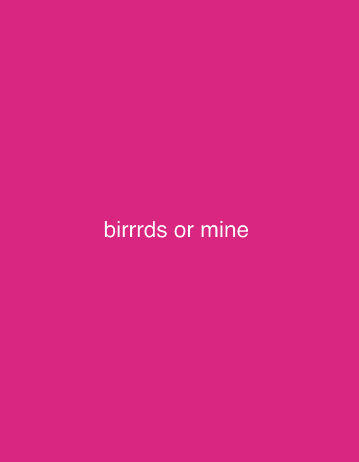 The image is a solid pink background with the white text "birrrds or mine" in the center.