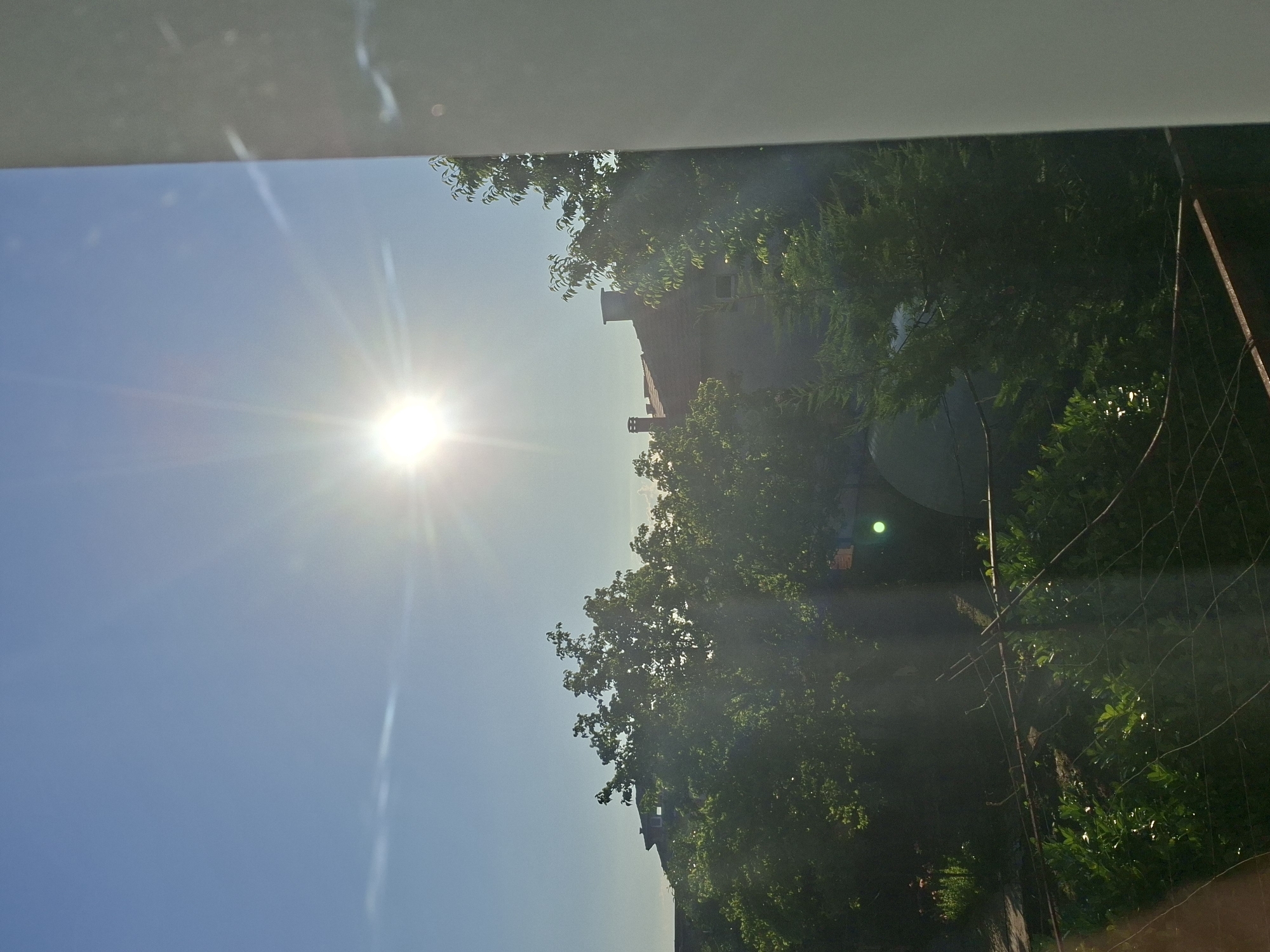 A bright sun shines high in a clear blue sky, casting lens flare across the image. In the mid-ground, lush green trees with dense foliage partially obscure the rooftops of houses. The trees appear to be in a residential area with some visible chimneys. In the foreground, there is a wire fence and some vegetation, suggesting a garden or yard. The scene is set in the city of Branipole, Bulgaria.