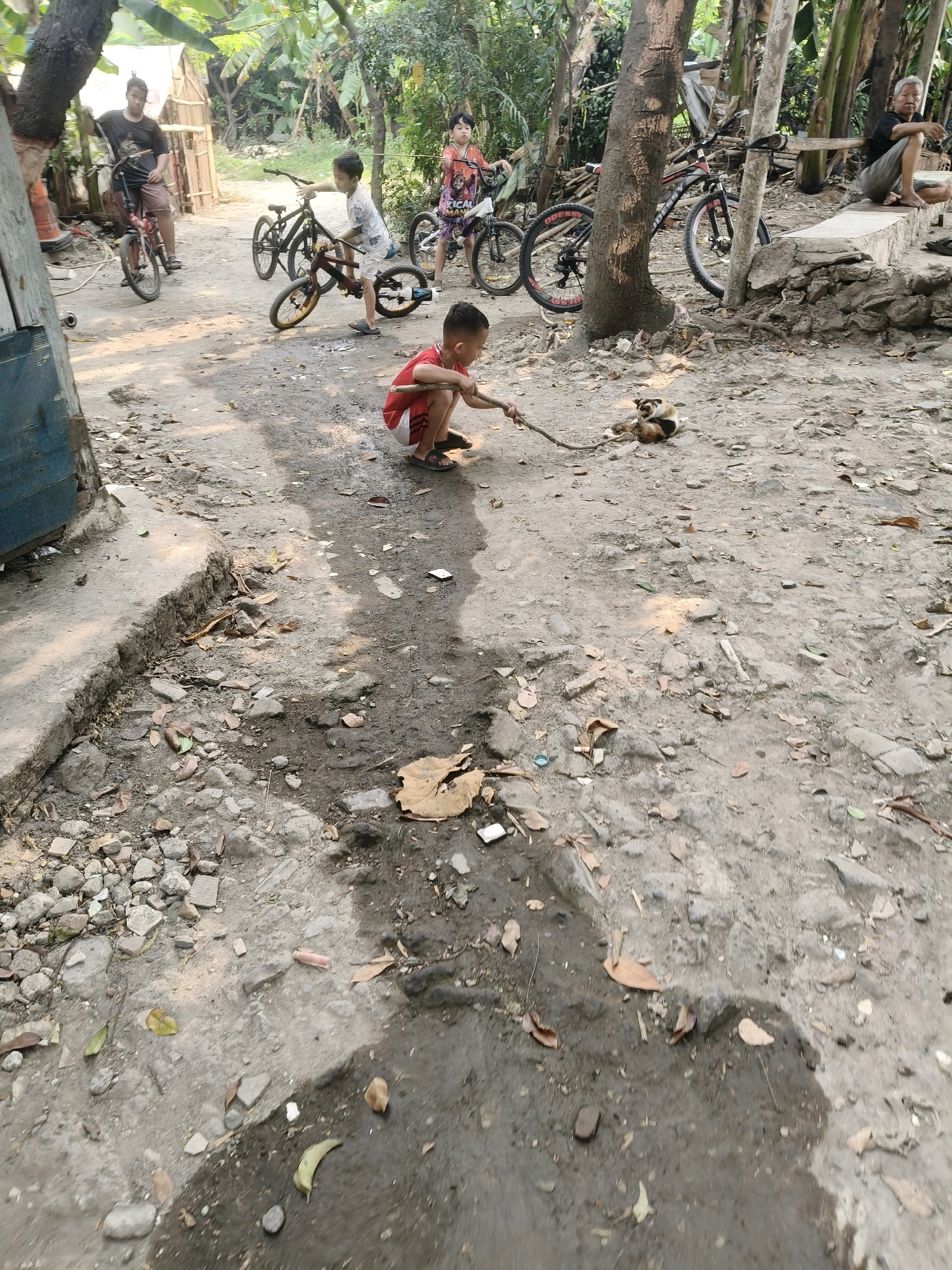 In South Tangerang, Indonesia, a young boy in a red shirt and shorts kneels on a dirt path, holding a stick and interacting with a dog lying on the ground. The scene is outdoors, with dirt, rocks, and scattered leaves covering the ground. Several bicycles are present, some in use by other children, suggesting a casual outdoor activity. Trees and lush vegetation form the backdrop, indicating a rural or semi-rural setting. A man sits on a concrete structure to the right, observing the scene. The overall atmosphere is one of everyday life in a local Indonesian community.