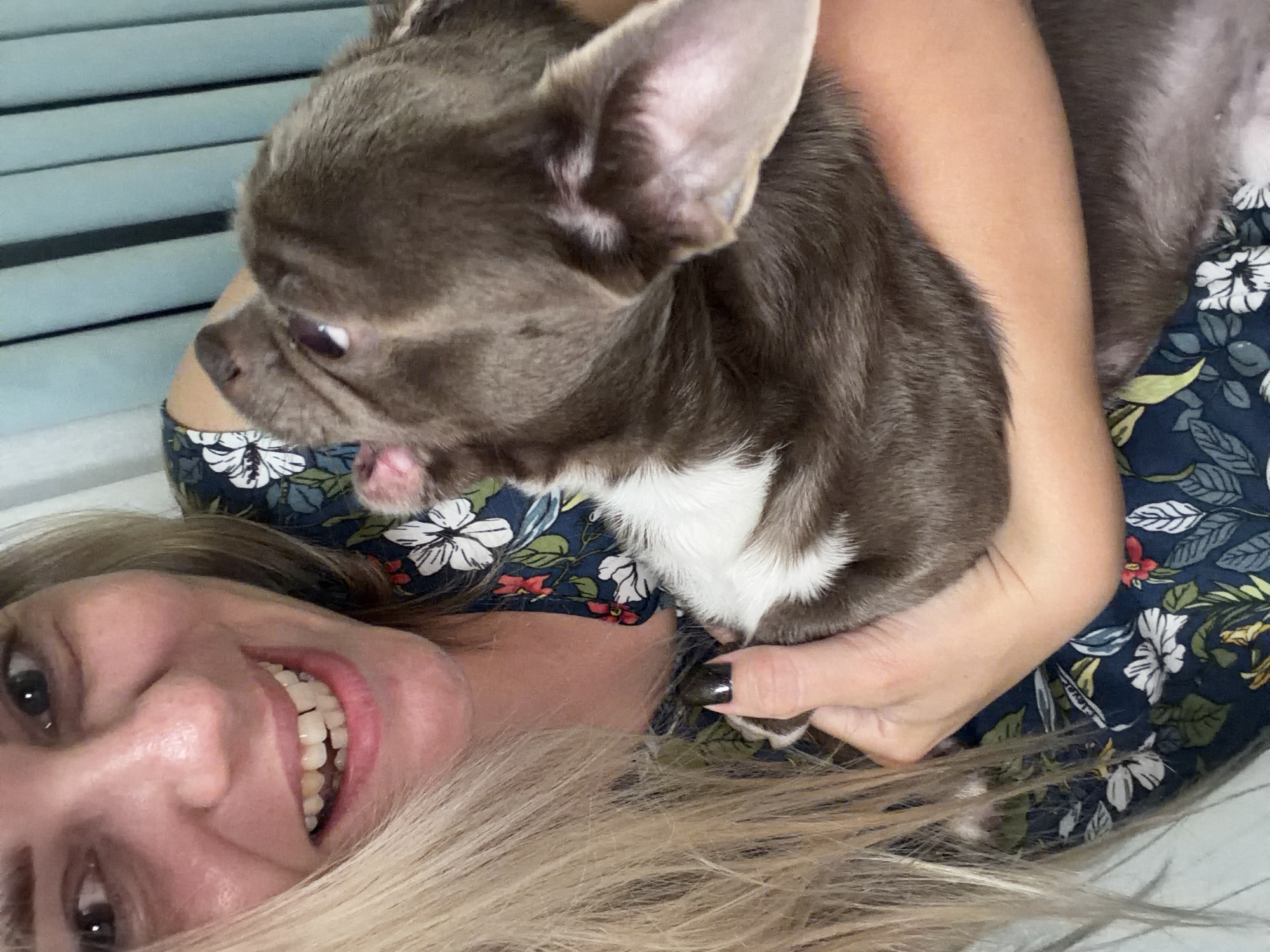 A woman with blonde hair and fair skin is holding a small, brown and white dog. She is smiling widely and looking towards the camera, with the dog's head turned away and up, licking her cheek. The woman is wearing a dark blue floral-patterned dress. The dog has large ears and appears to be a puppy. The background consists of light blue vertical blinds. The image appears to be a selfie taken indoors. There is no information about the location in Votkinsk, Russia.