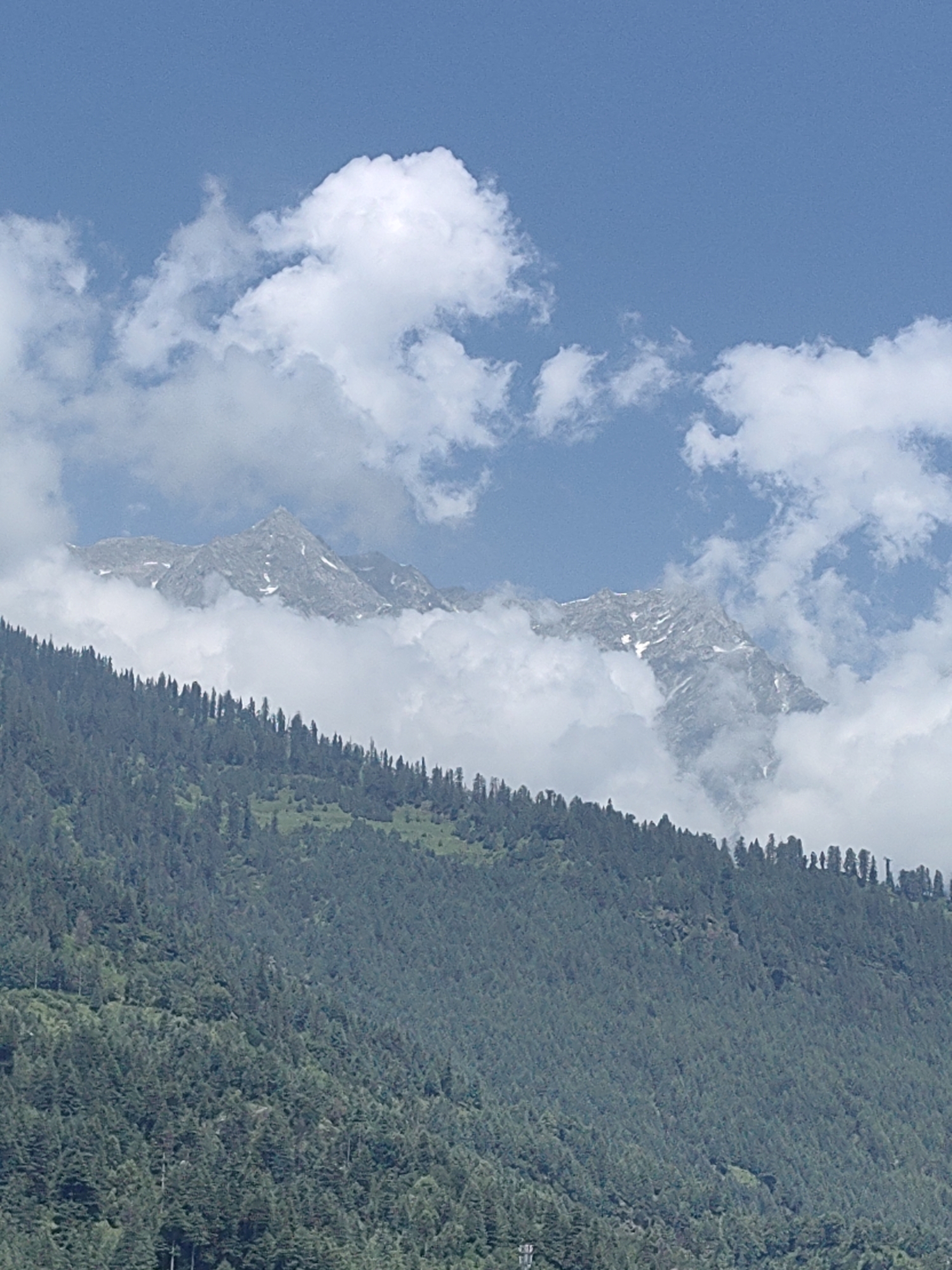 This is a vertical, eye-level shot of a mountainous landscape, likely near Vashisht, India. The upper portion of the image features a clear blue sky interspersed with fluffy white clouds. Partially obscured by clouds, rugged, snow-capped mountain peaks rise in the background. In the foreground, a densely forested mountain slope dominates the lower two-thirds of the frame. The trees are predominantly evergreen, forming a thick, dark green carpet that follows the contours of the terrain. The overall impression is one of natural grandeur and serene wilderness.
