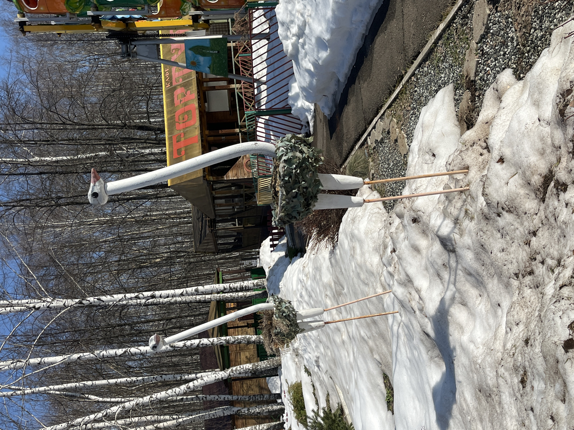 The image shows an outdoor scene, likely in early spring given the presence of melting snow. Two decorative, stylized ostrich figures made of white pipes with painted heads and wooden legs stand near piles of dirty snow. Each ostrich has a decorative element around its midsection, possibly representing feathers or plumage.
In the background, a collection of bare birch trees is visible against a clear blue sky. Behind the ostriches, there is a building or structure with a sign that has the word "FORT" in large red letters. The building appears to have a wooden exterior. A paved walkway borders the area.
The scene is likely within the city of Chaikovsky, Russia. There are no people visible in the image. The primary subjects are the decorative ostriches and the surrounding landscape. The interaction is between the ostriches and the snowy environment.