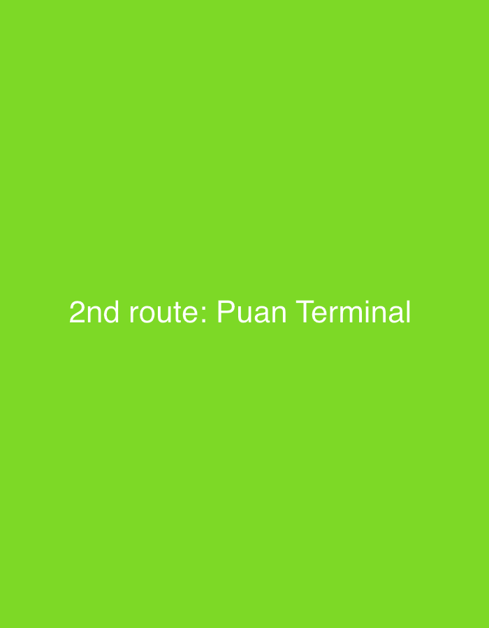 The image is a solid lime green background with white text centered horizontally and vertically. The text reads "2nd route: Puan Terminal". This text refers to a transportation route within Davao City, Philippines, likely indicating a specific bus or jeepney route that serves the Puan Terminal.