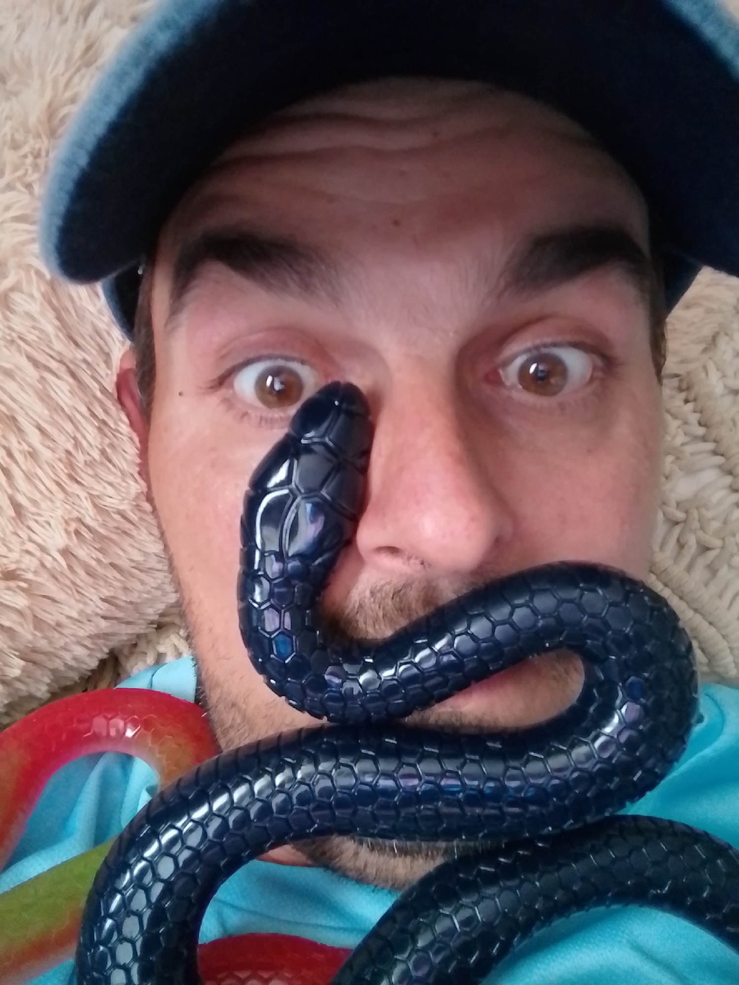 The image is a close-up, eye-level, selfie-style photograph of a person wearing a blue baseball cap and a blue t-shirt. The person has brown eyes and is looking directly at the camera with a surprised expression. A dark blue, segmented toy snake is draped across the person's face, with its head resting on the nose and its body coiled around the mouth and chin area. To the left of the person's face, a red and green segmented toy snake is partially visible. The background is a light-colored, fuzzy fabric surface, likely a blanket or carpet. The image does not contain any identifiable landmarks or details that would indicate its location in Wedel, Germany.