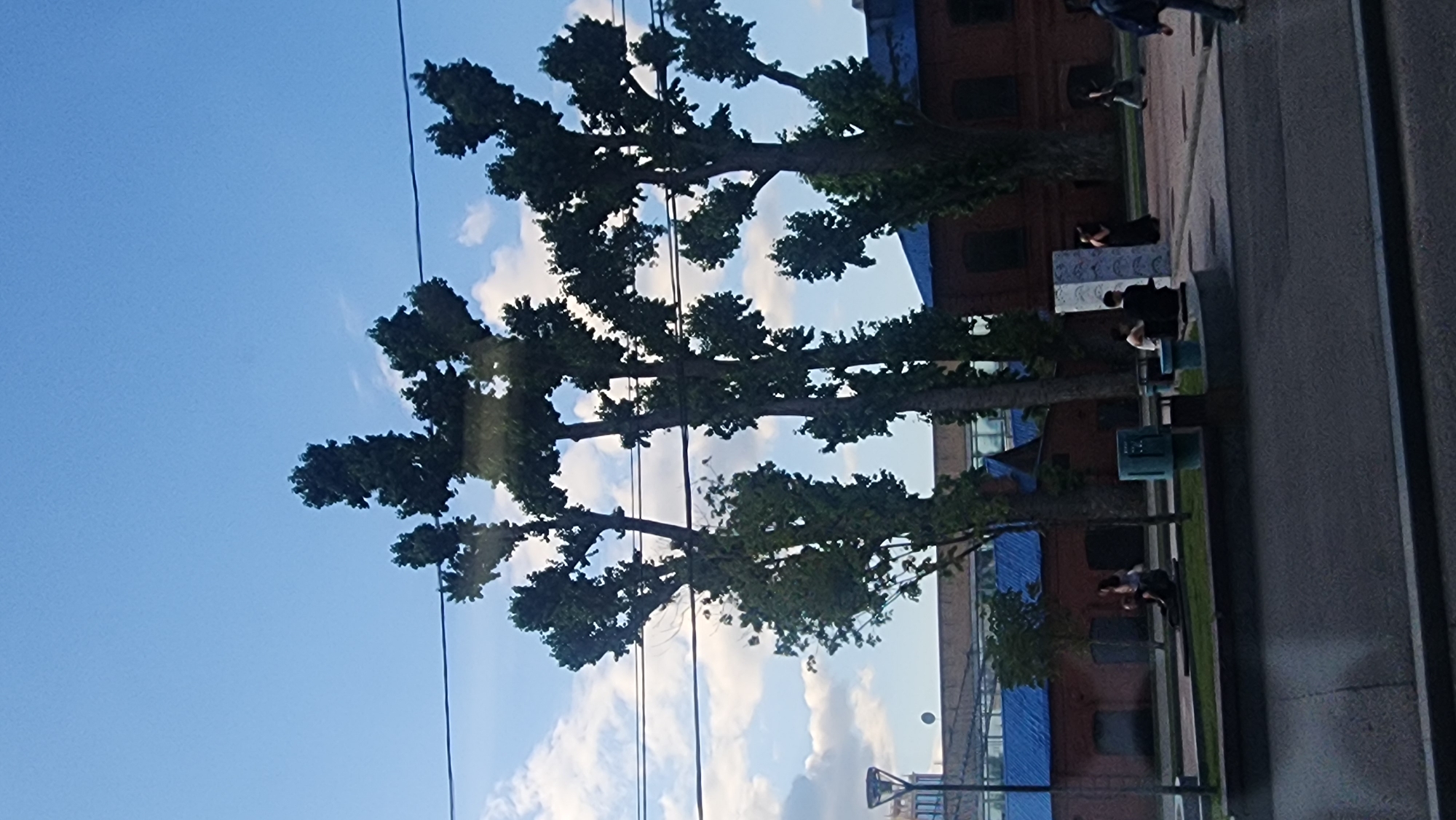 The image depicts an outdoor scene in Moscow, Russia, on a clear day with scattered clouds. In the foreground, a paved area transitions to a grassy strip with several people seated or standing. To the left, a lamppost is visible. Beyond the grassy area, several brick buildings with bright blue roofs are present. Tall, slender trees with dense green foliage dominate the midground. A few individuals are walking in the background. The overall impression is that of a public space or park area within an urban environment.