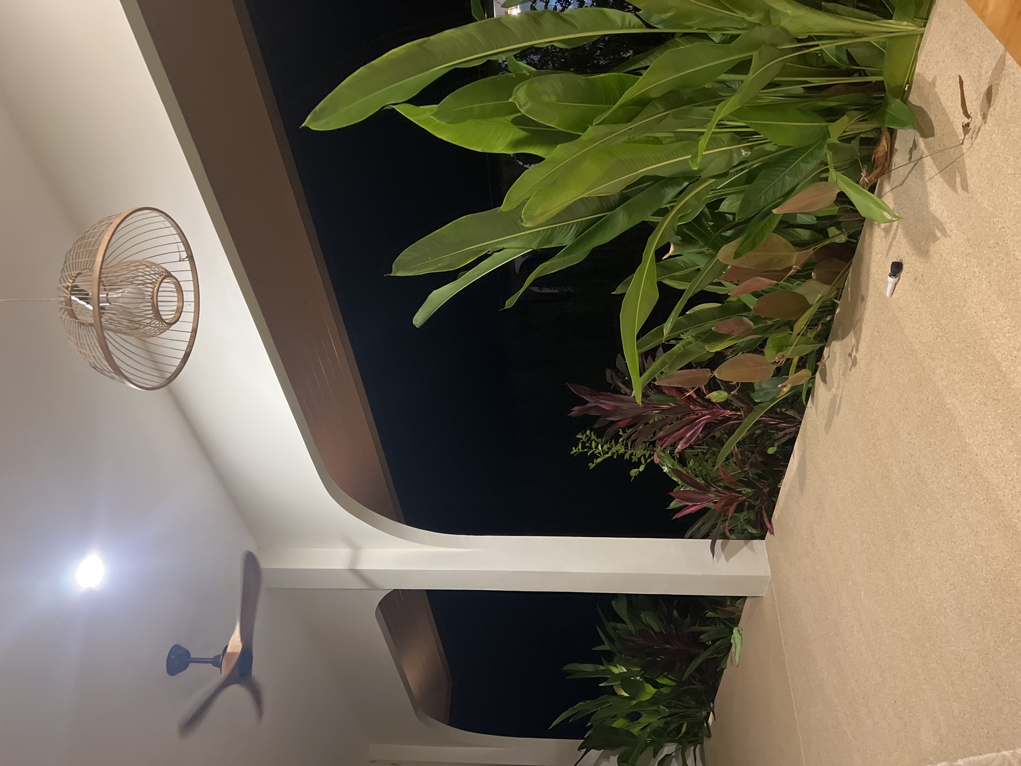 A covered outdoor walkway at night features a ceiling fan and a woven light fixture. The walkway is paved with a light-colored, textured material. Lush green and reddish-purple plants line the edge of the walkway, with an archway revealing a dark, unlit background. A small white object, possibly a pen or electronic device, lies on the walkway near the plants. The scene suggests a tropical or subtropical setting, consistent with the location in Koh Phangan, Thailand.